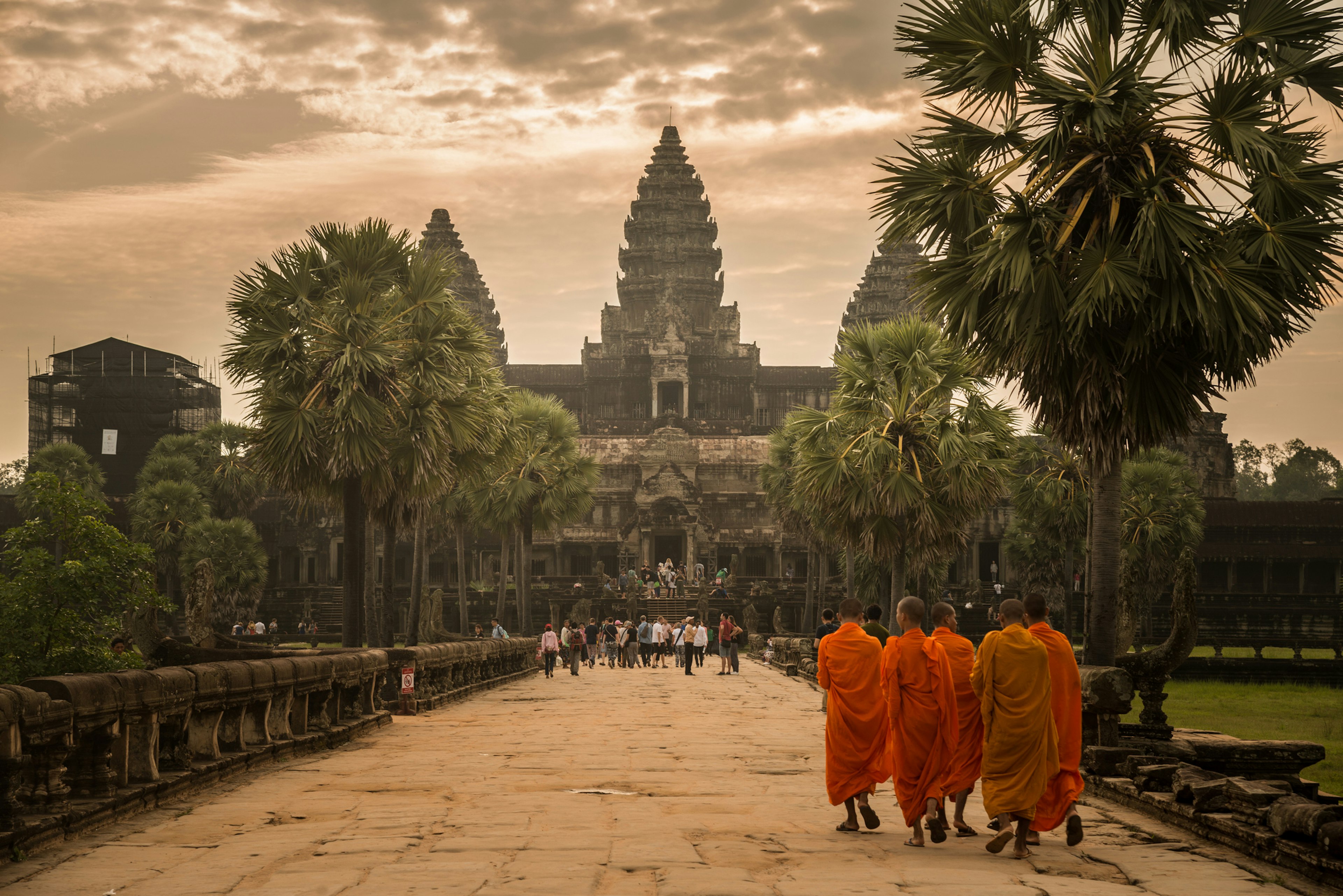 Buddhist monks clad in orange robes walk down a straight palm-lined pathway leading towards an ancient temple