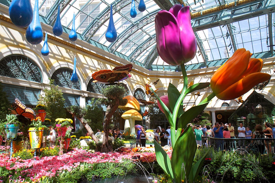 Conservatory & Botanical Gardens at the Bellagio. (Photo by: Jeffrey Greenberg/Universal Images Group via Getty Images)
630060396
South Las Vegas Boulevard, Conservatory & Botanical Gardens, giant tulips