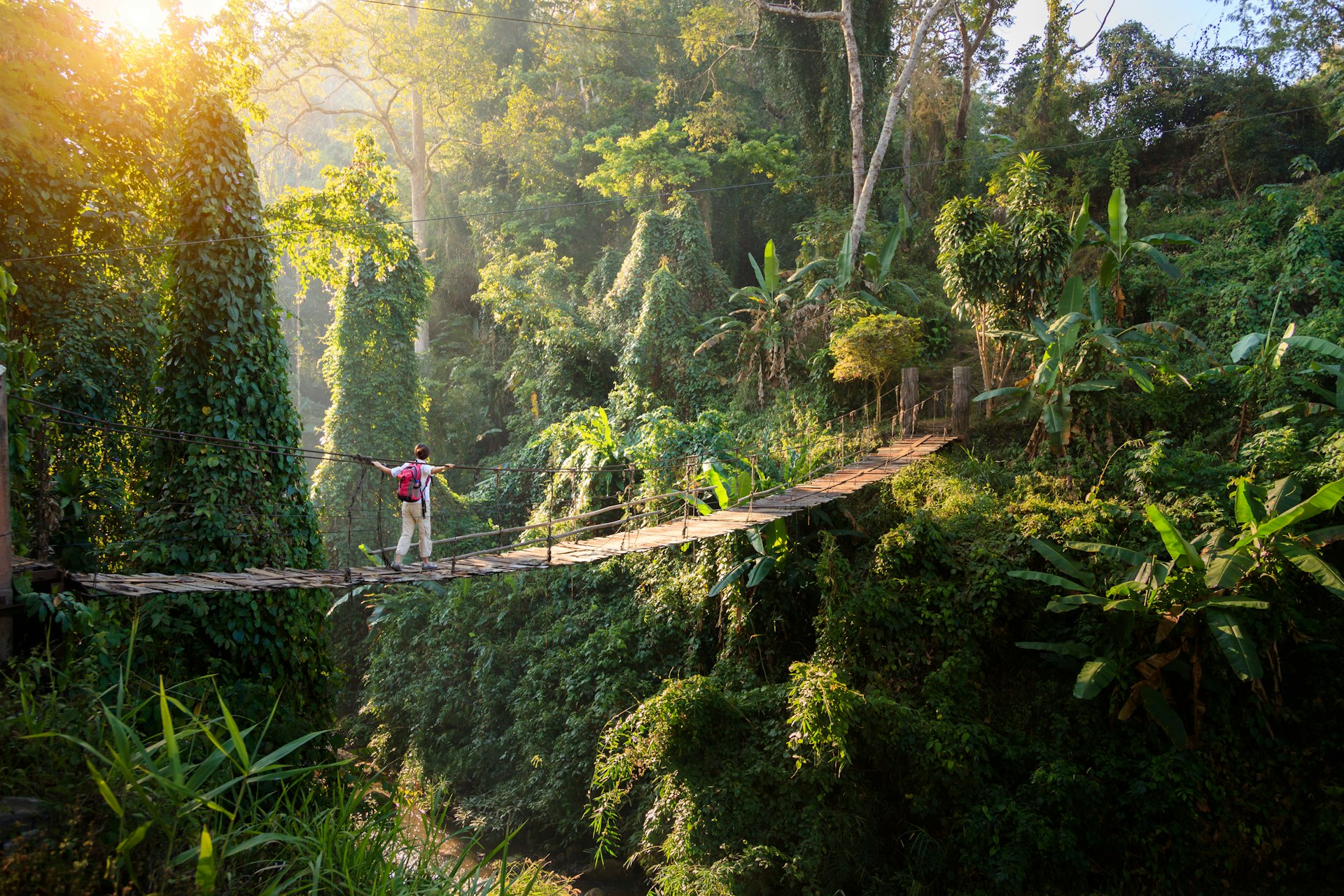 Backpacker on suspension bridge in rainforest in Thailand