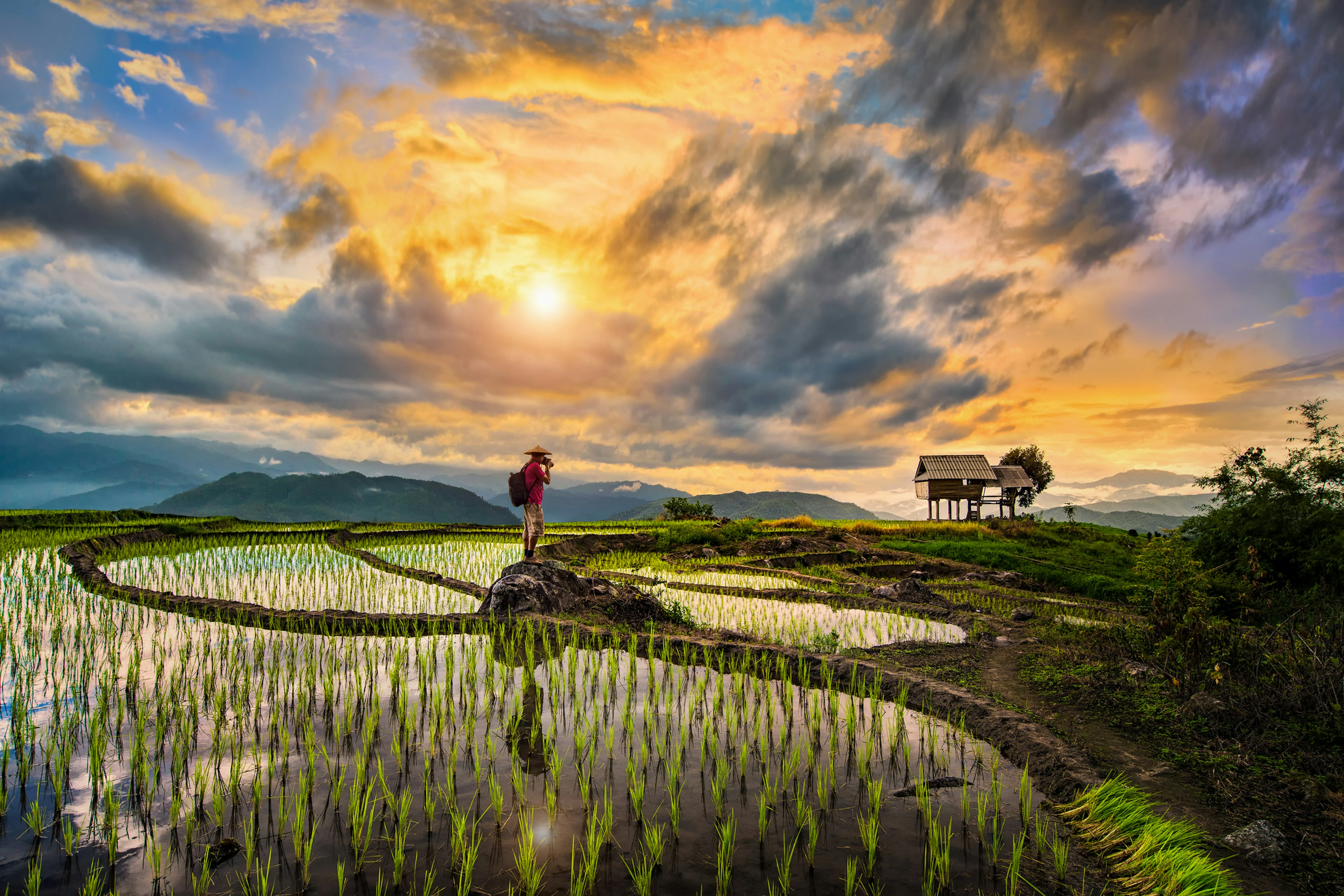 A Photographer bagpacker travel and take a caption of beautiful step of rice terrace paddle field during sunset in Chiangmai, Thailand