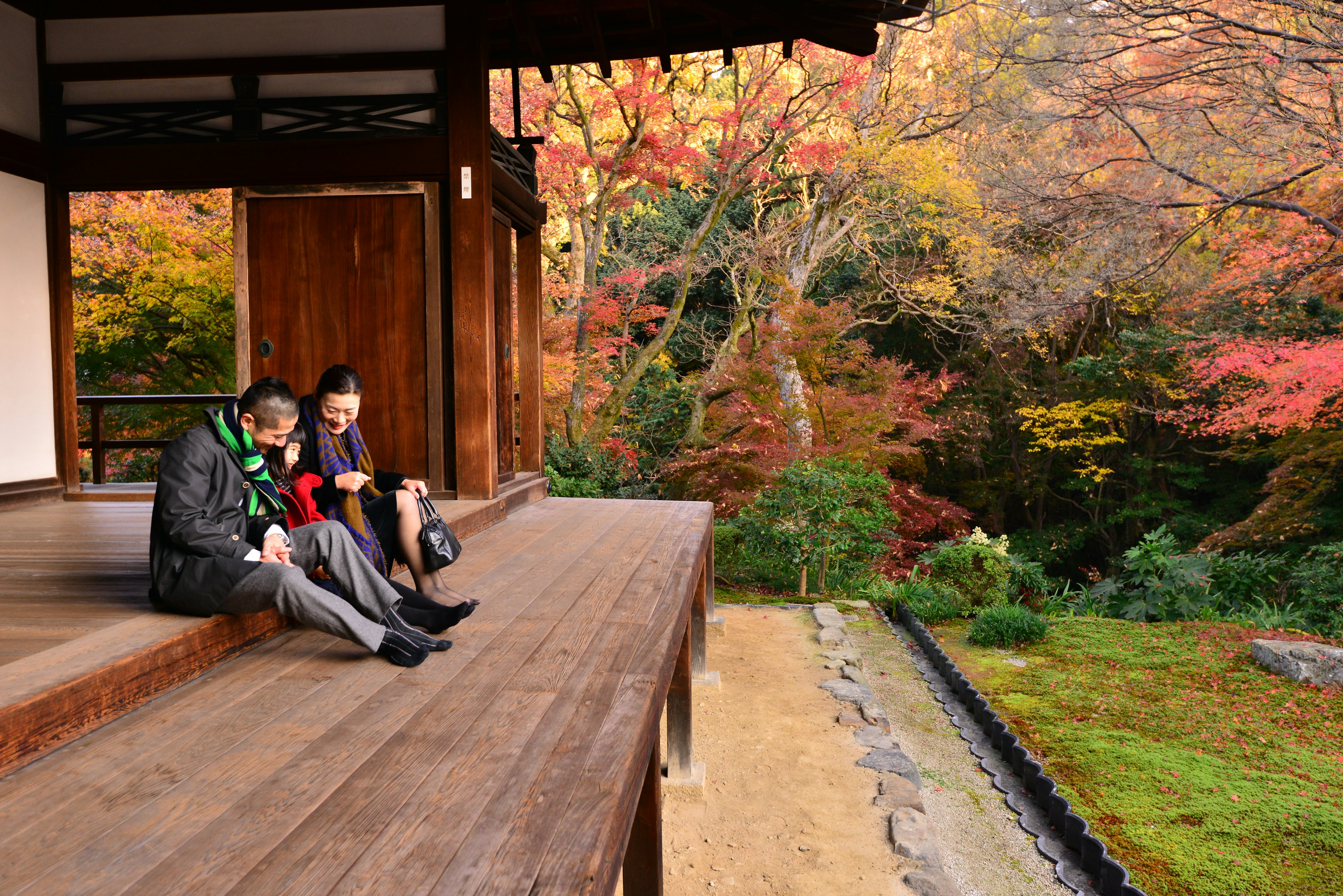 Japanese family of father and mother in their 40’s and their 7 year old daughter are enjoying autumn foliage at the corridor of Hojo (the living quarters of head priest) of Tofuku-ji Temple, Kyoto, Japan..Tofuku-ji Temple, which was founded in 1236, is the head temple of the Tofuku-ji School of Rinzai Sect of Zen Buddhism