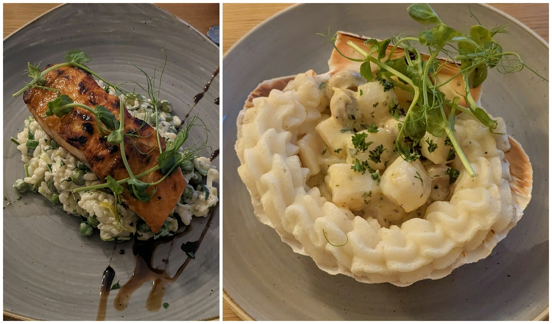 Scallops and salmon plated up in a fancy restaurant in Scotland