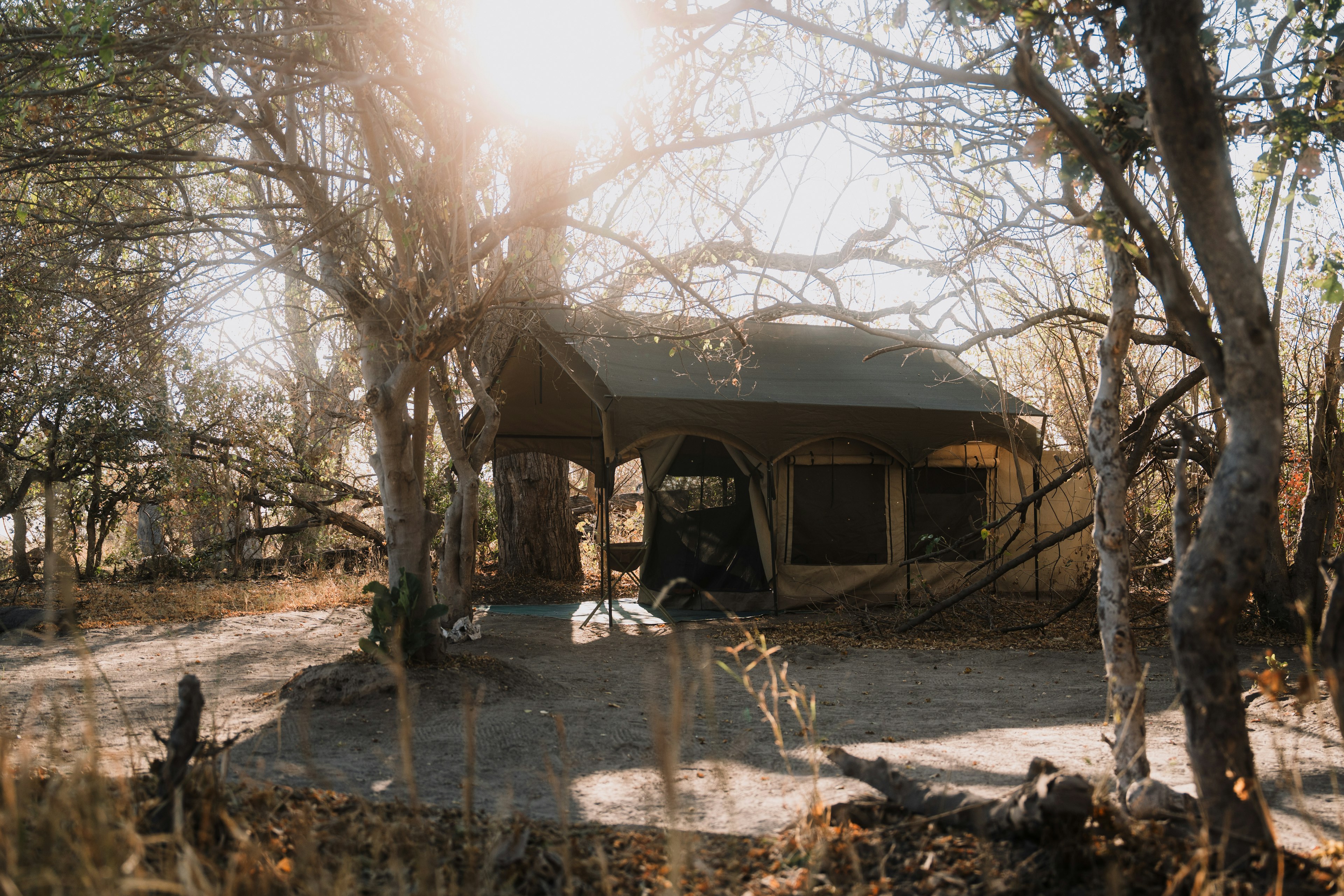 The exterior of a basic camp tent in Botswana