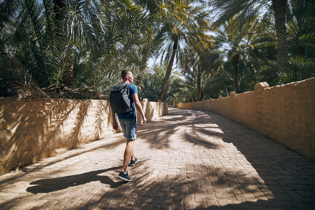 Young solo traveler walking in the middle of palm trees. Desert oasis in Al Ain, Emirate Abu Dhabi, United Arab Emirates
1218554388