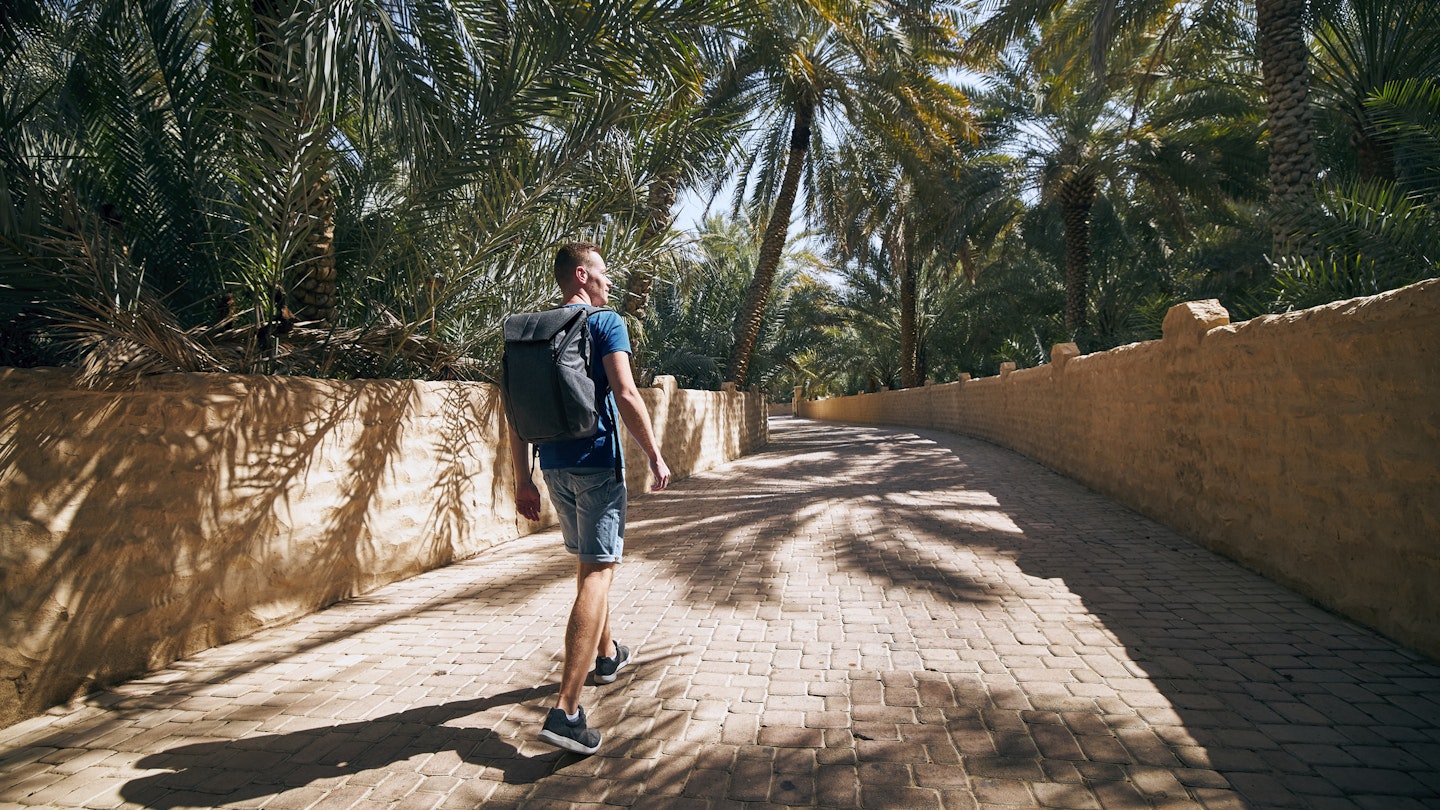 Young solo traveler walking in the middle of palm trees. Desert oasis in Al Ain, Emirate Abu Dhabi, United Arab Emirates
1218554388