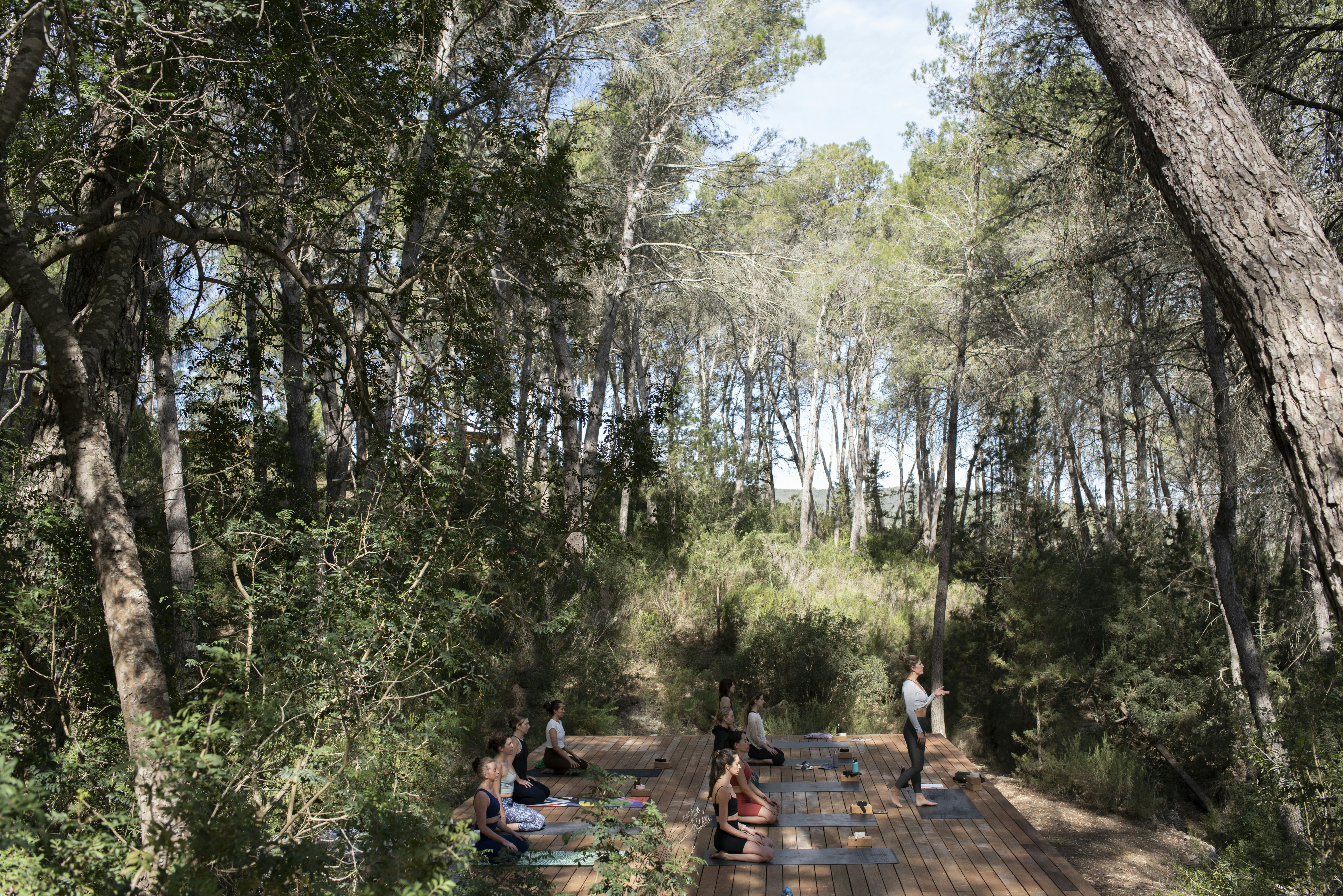 A group of people practicing yoga on a wooden deck in a forest setting, surrounded by tall trees and lush greenery.