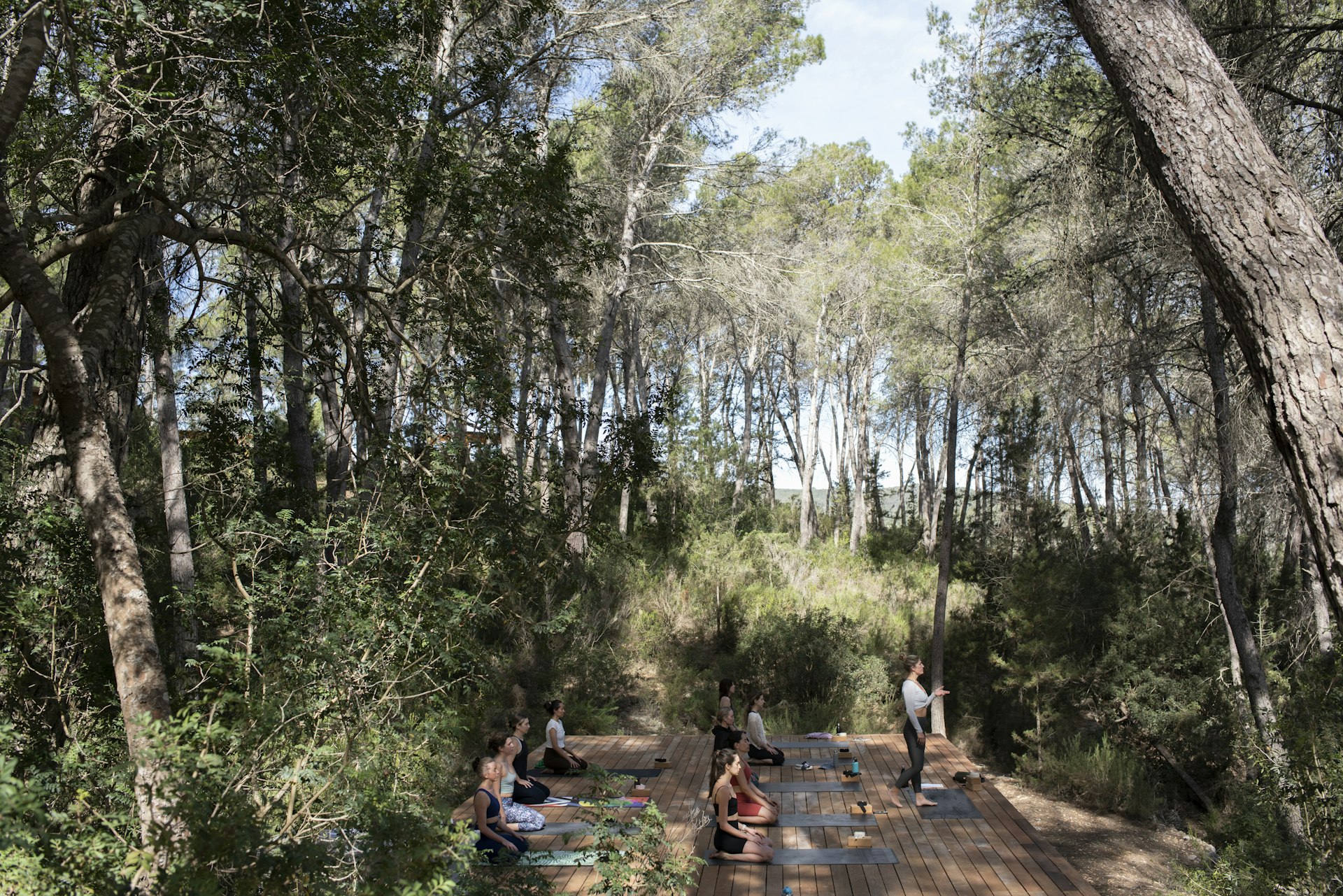 A group of people practicing yoga on a wooden deck in a forest setting, surrounded by tall trees and lush greenery.