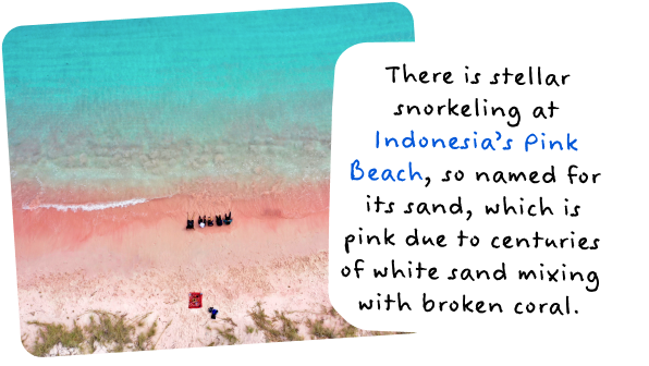 There is stellar snorkeling at Indonesia’s Pink Beach, so named for its sand, which is pink due to centuries of white sand mixing with broken coral.