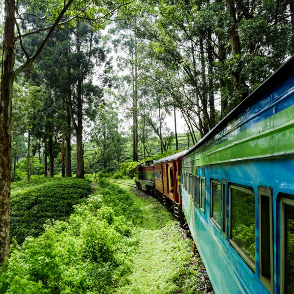 Sri Lanka train