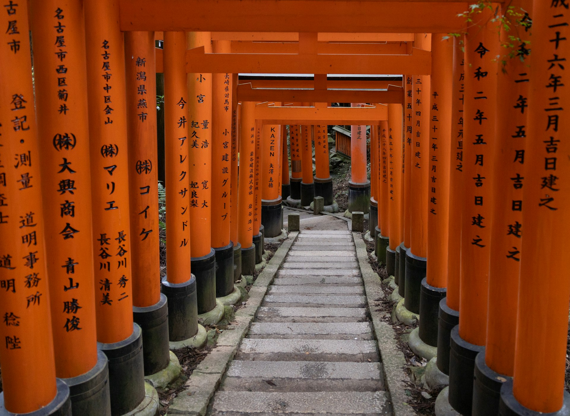 Continuous red gates of Fushimi Inari over a stone path, creating a tunnel-like effect