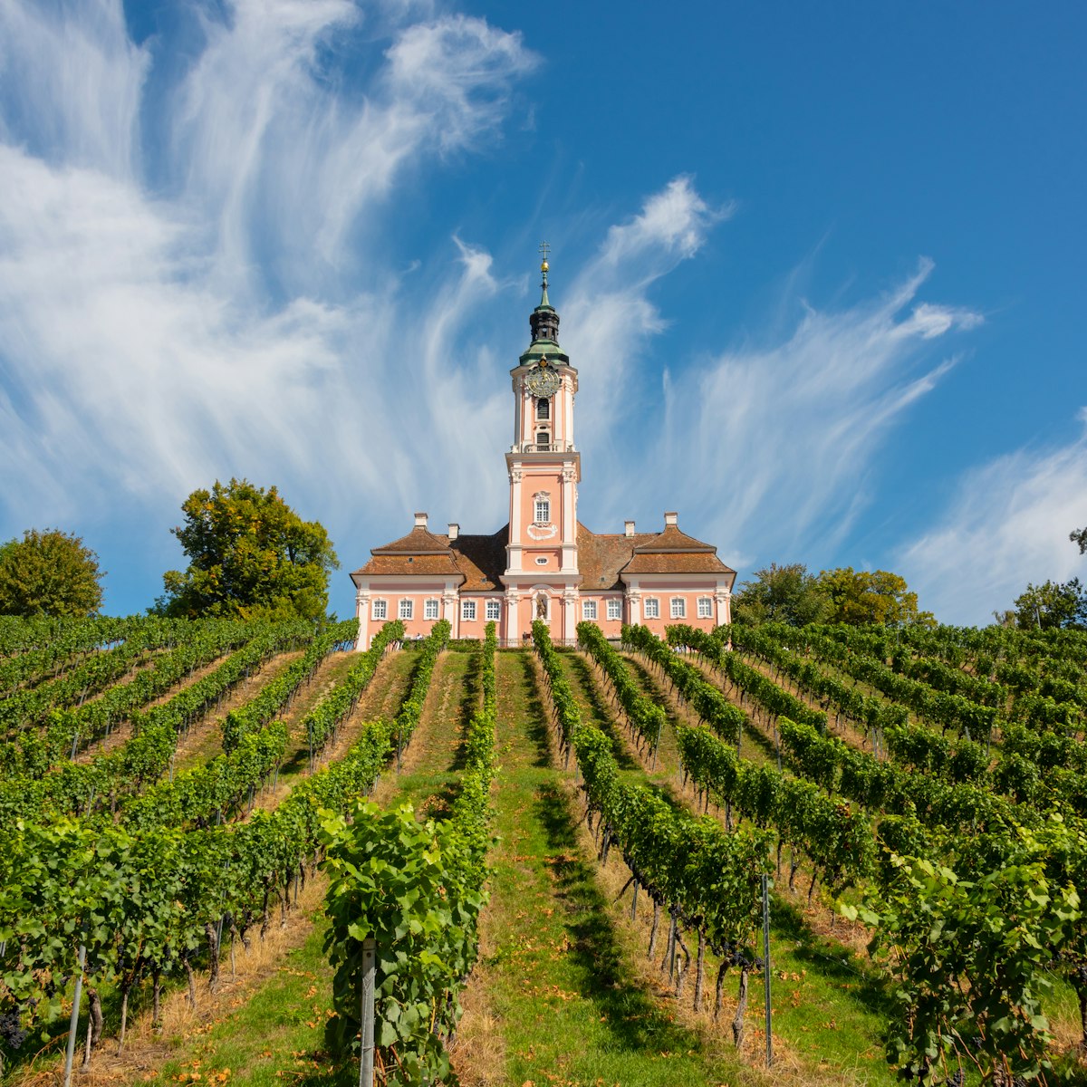 Beautiful view of the pilgrimage church in Birnau at Lake Constance with the vines in the foreground with a spectacular sky and clouds
1034849094
white, vineyards, uhldingen, stone, sight, rose, region, place, pink, landmark, green, famouse, destination, constance, clouds, building, birnau, beautiful, baroque