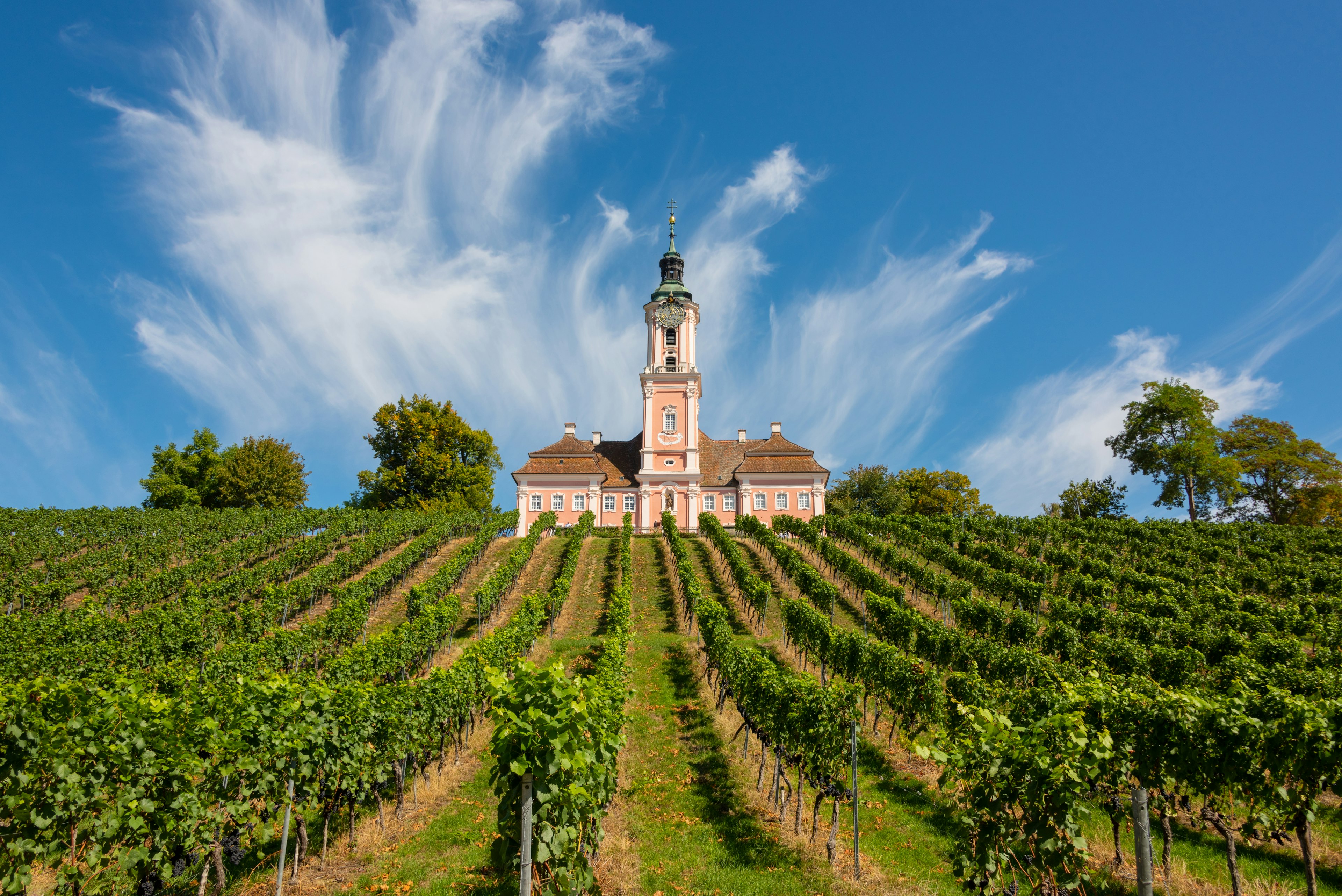 Beautiful view of the pilgrimage church in Birnau at Lake Constance with the vines in the foreground with a spectacular sky and clouds.