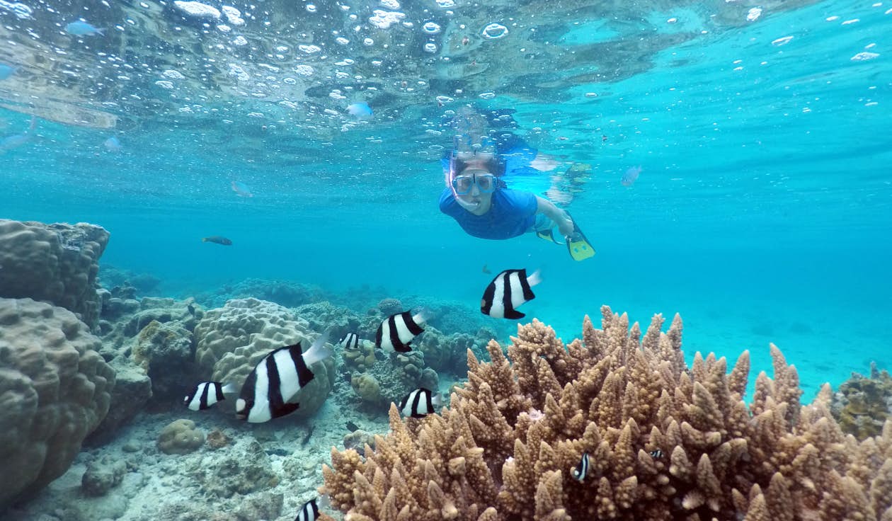Snorkeling in the Cook Islands