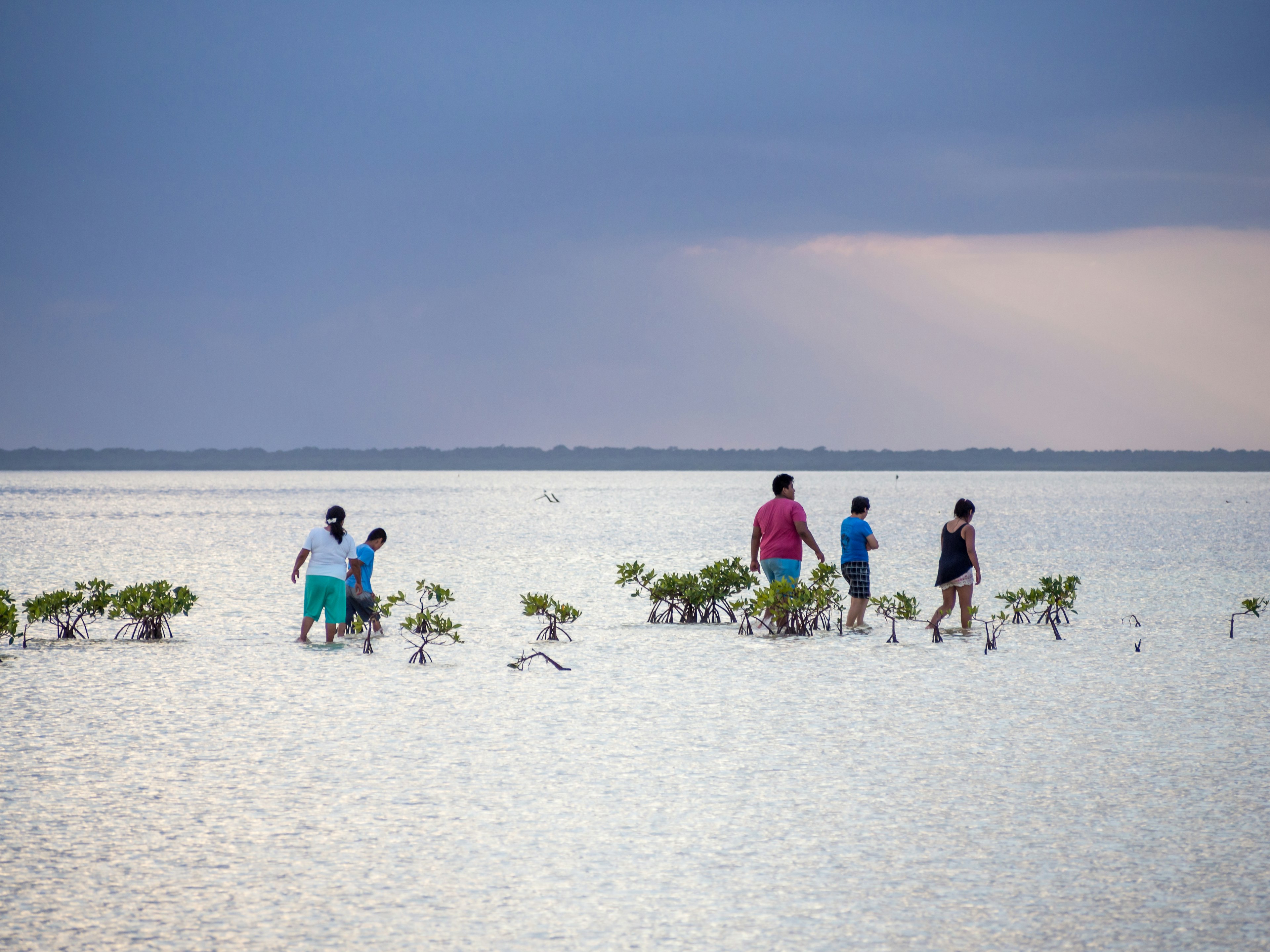 People wade in the shallow sea at sunset at Isla Blanca, near 䲹Գú, Quintana Roo, Mexico