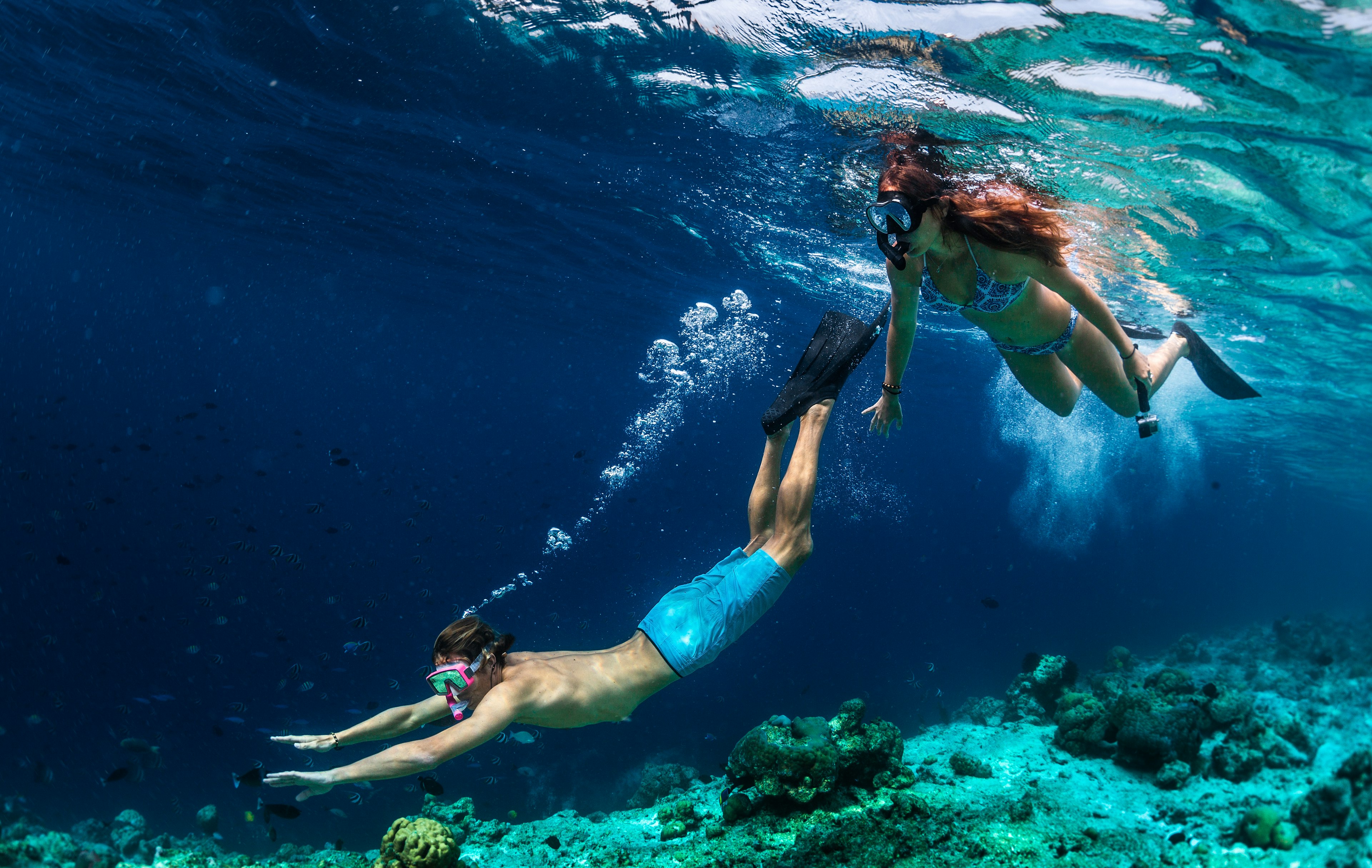 Two snorkelers look underwater at varied coral