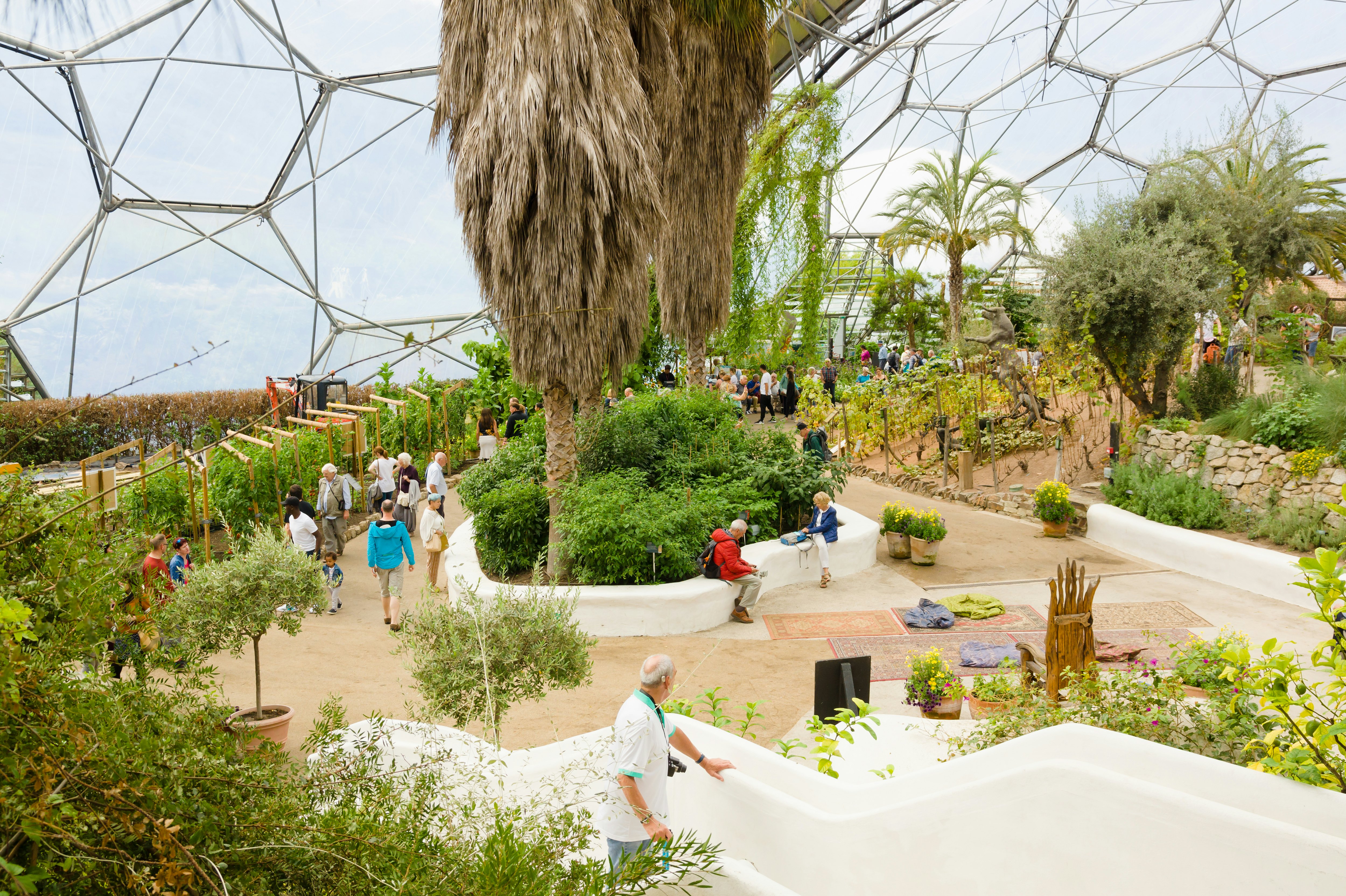 People in a large curved biome full of different plants