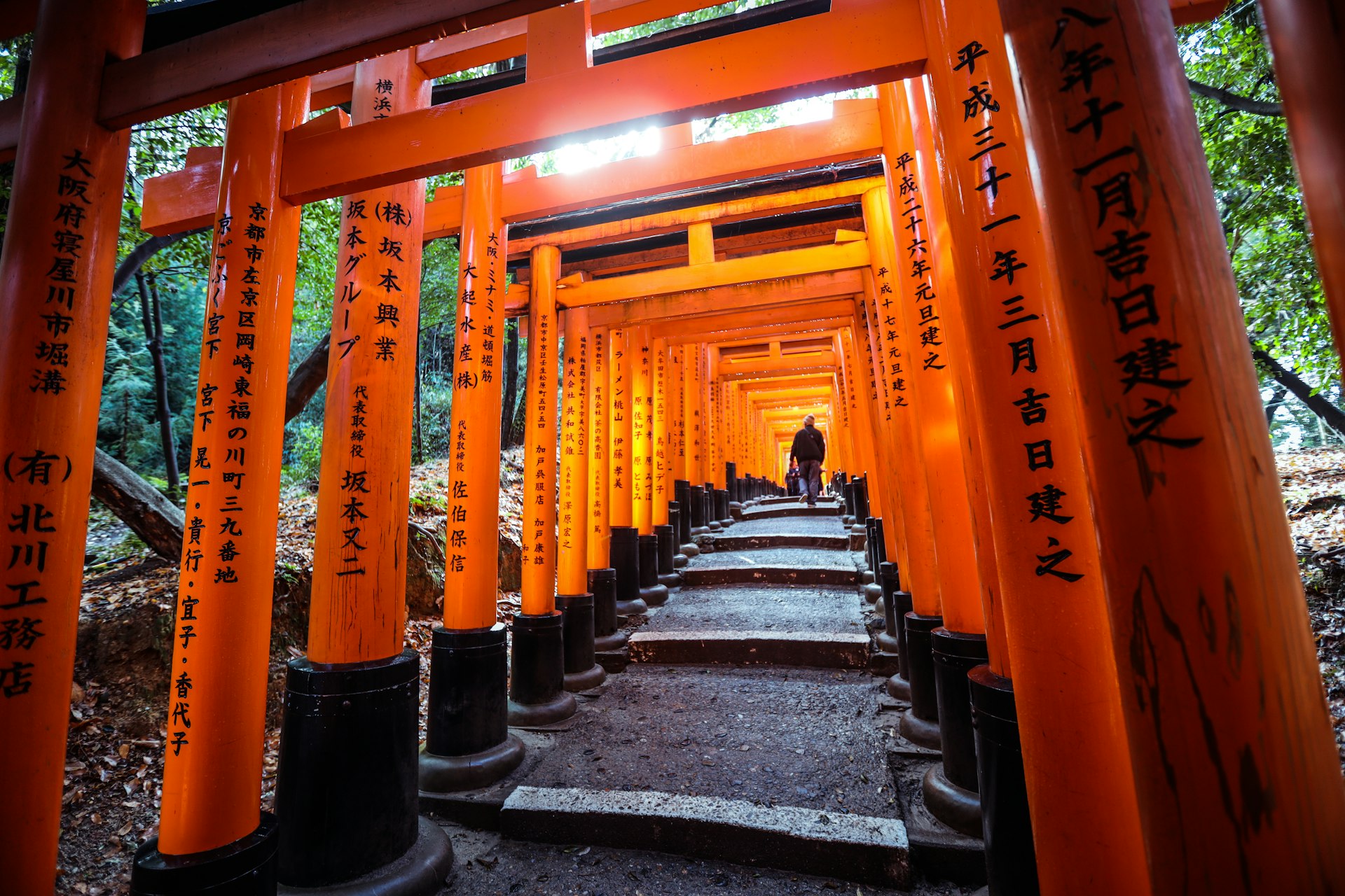 A man walks through the in the Great Torii way of Fushimi Inari Shrine, Kyoto, Japan