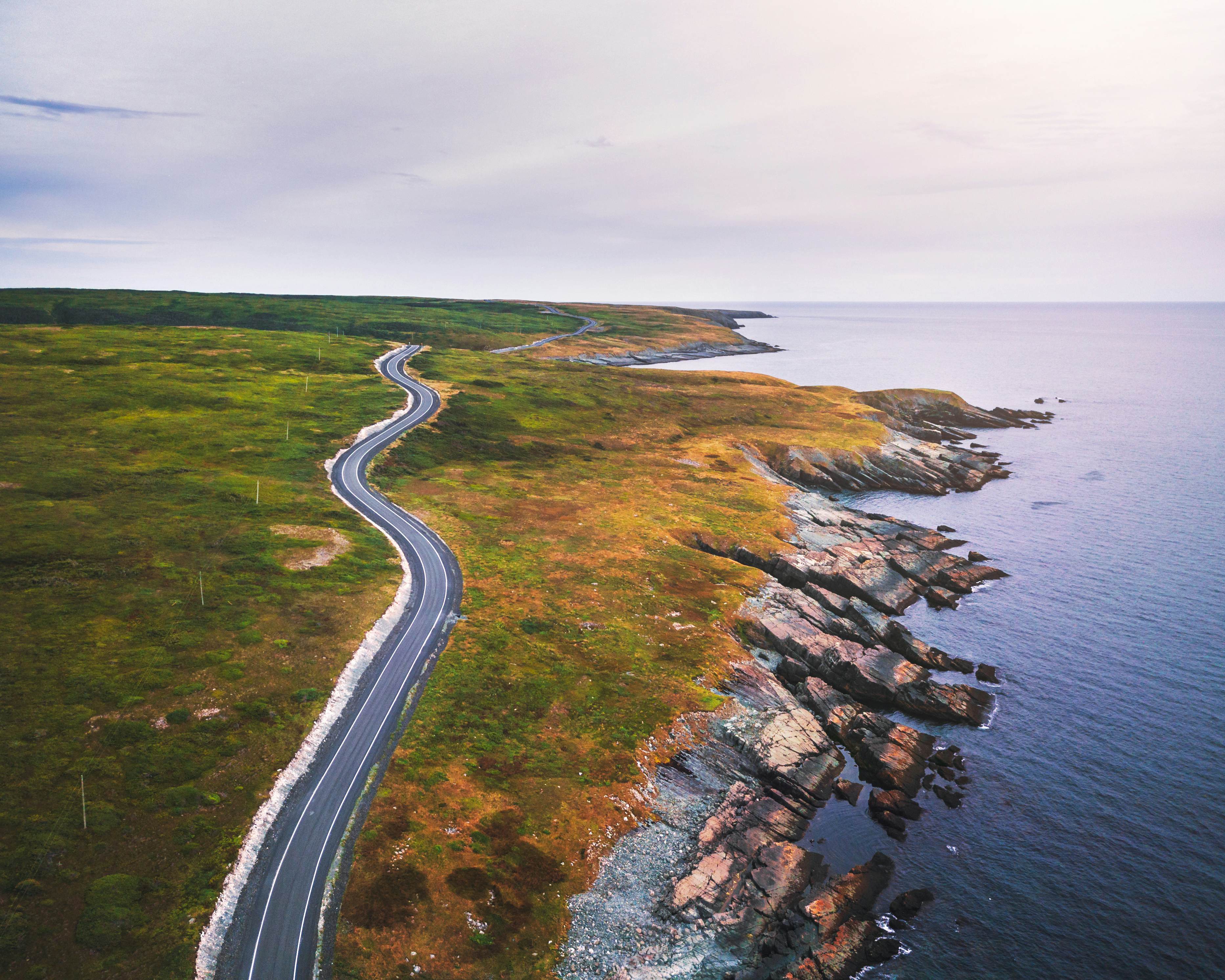 Mistaken Point, Newfoundland Canada in summer; Shutterstock ID 1709187862; full: 65050; gl: 65050; netsuite: poi; your: Barbara Di Castro
1709187862