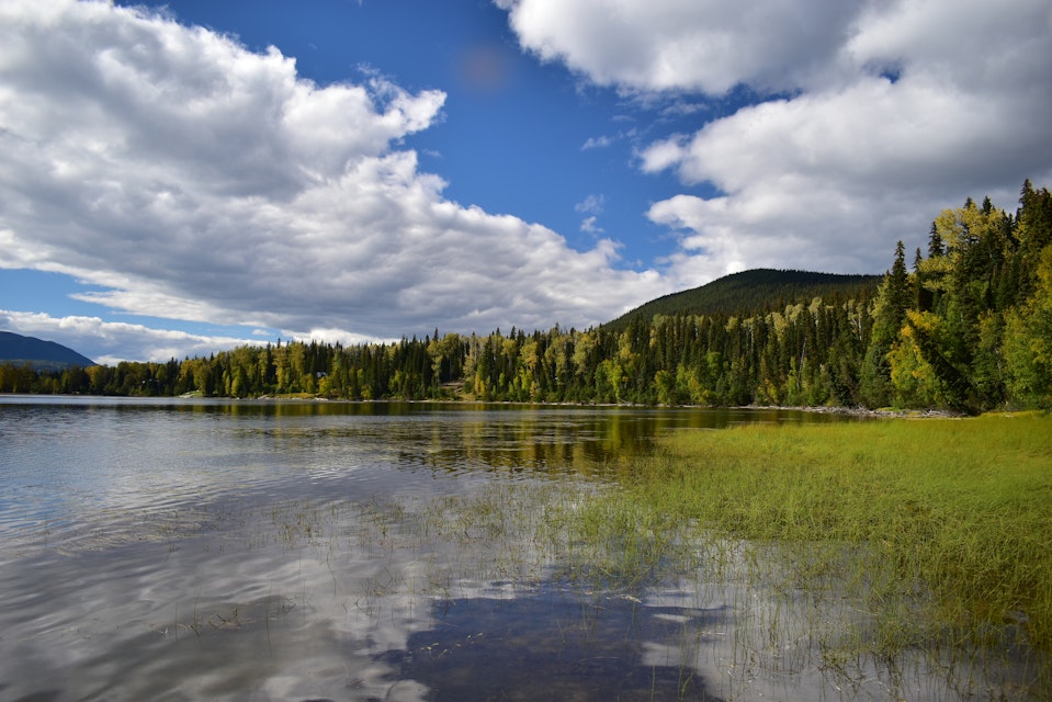 Canada,BC,Bowron Lake Provincial Park.Close to campground.From the shore of a mountain lake.in the background forests, sky and clouds.Very quiet area, great for canoeing and fishing.; Shutterstock ID 1712807968; full: 65050; gl: 65050; netsuite: POI; your: Erin Lenczycki
1712807968