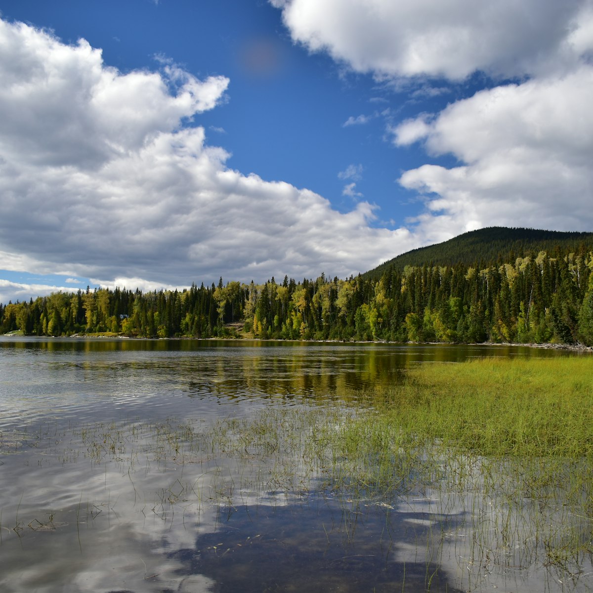 Canada,BC,Bowron Lake Provincial Park.Close to campground.From the shore of a mountain lake.in the background forests, sky and clouds.Very quiet area, great for canoeing and fishing.; Shutterstock ID 1712807968; full: 65050; gl: 65050; netsuite: POI; your: Erin Lenczycki
1712807968