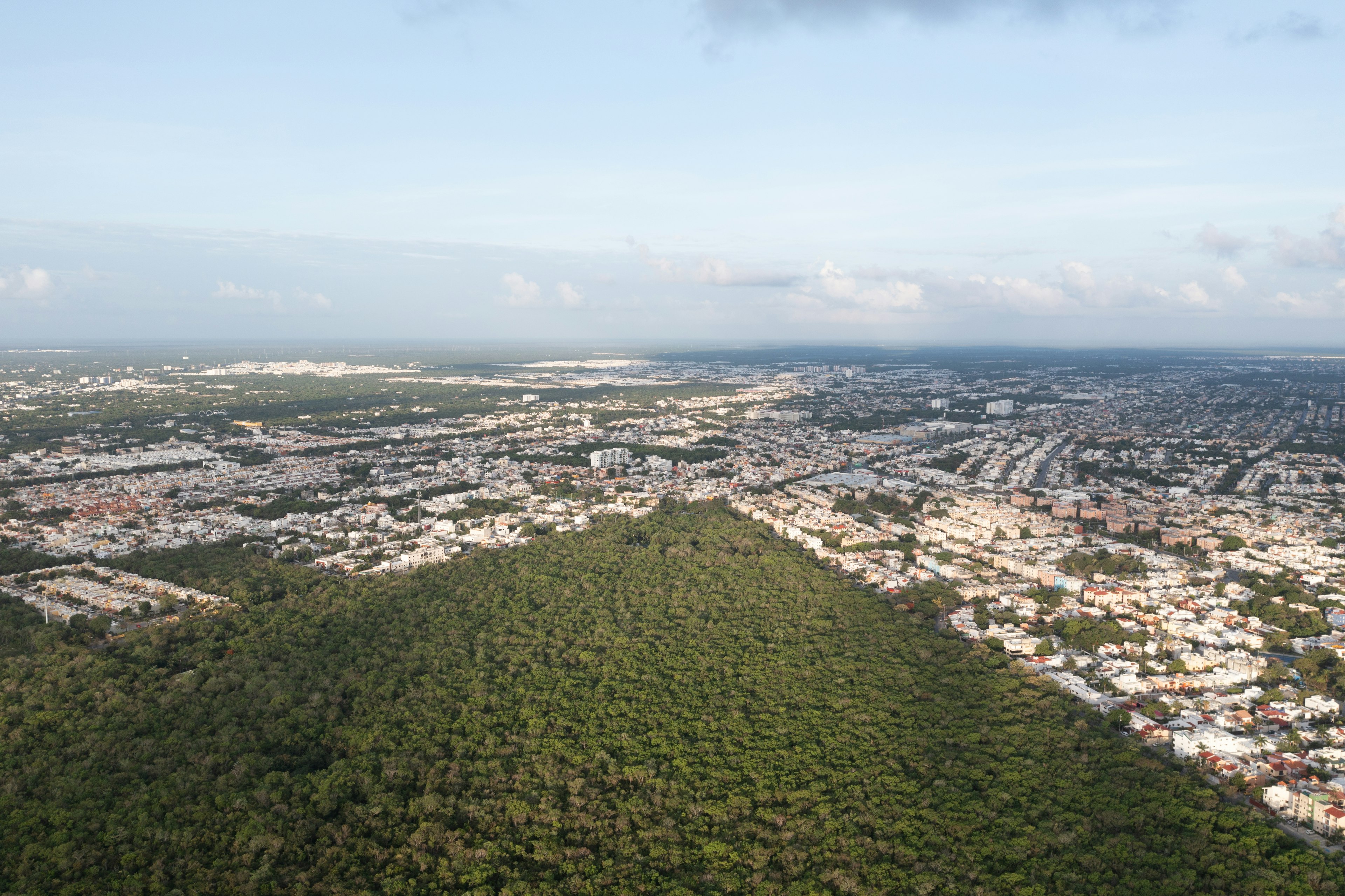 A vast swathe of greenery and trees stretches out from the edges of a city
