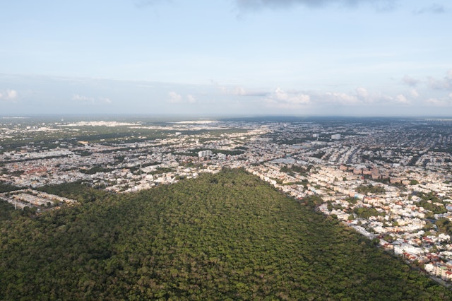 A vast swathe of greenery and trees stretches out from the edges of a city