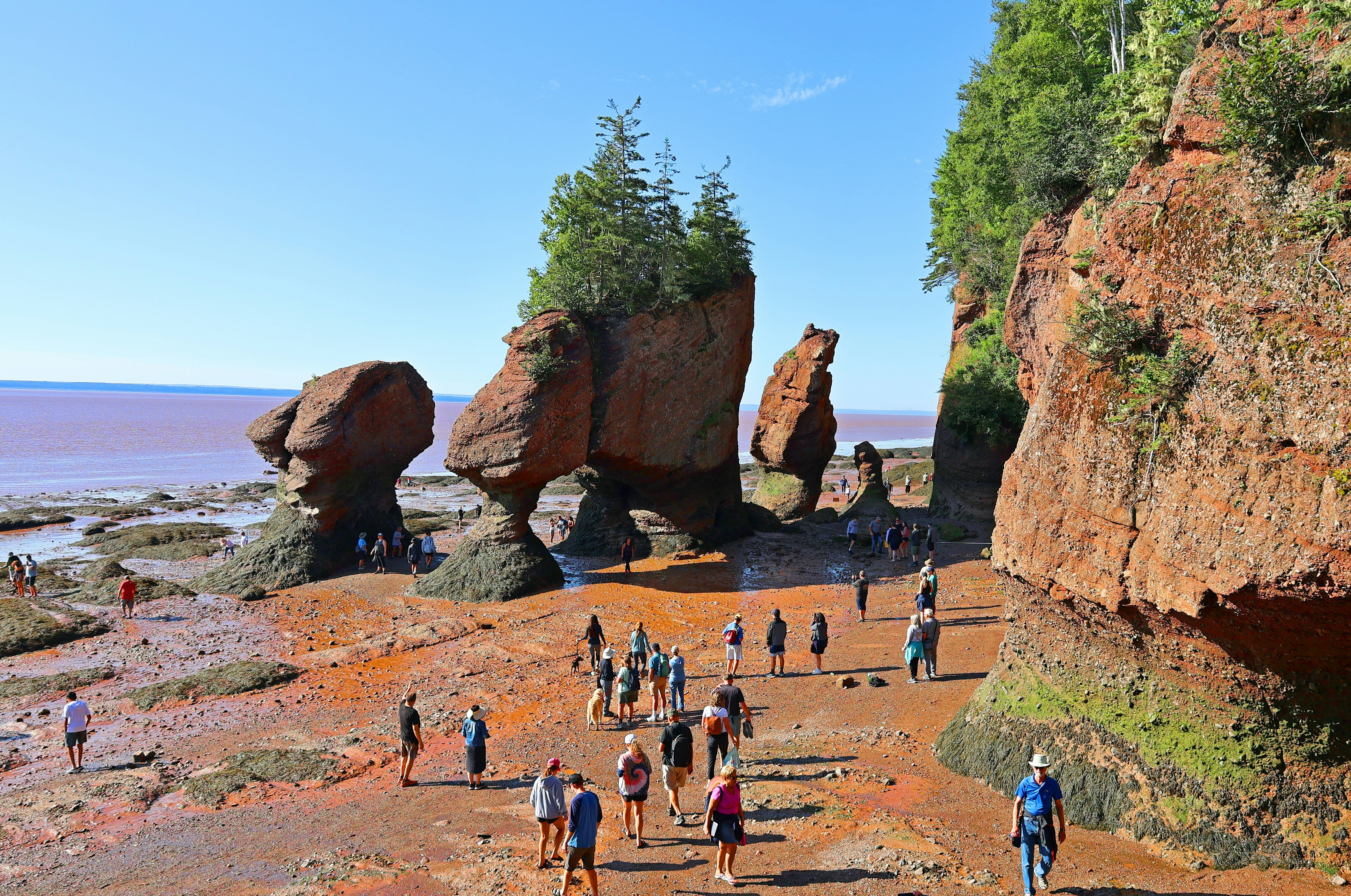 BAY OF FUNDY NEW BRUNSWICK CANADA 08 15 2022: Park visitors explore the ocean floor at low tide. Hopewell Rocks Park in Canada, located on the shores of the Bay of Fundy in the North Atlantic Ocean; Shutterstock ID 2197715175; full: 65050; gl: 65050; netsuite: poi; your: Barbara Di Castro
2197715175