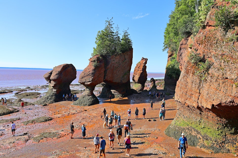 BAY OF FUNDY NEW BRUNSWICK CANADA 08 15 2022: Park visitors explore the ocean  floor at low tide. Hopewell Rocks Park in Canada, located on the shores of the Bay of Fundy in the North Atlantic Ocean; Shutterstock ID 2197715175; full: 65050; gl: 65050; netsuite: poi; your: Barbara Di Castro
2197715175