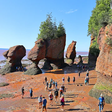 BAY OF FUNDY NEW BRUNSWICK CANADA 08 15 2022: Park visitors explore the ocean floor at low tide. Hopewell Rocks Park in Canada, located on the shores of the Bay of Fundy in the North Atlantic Ocean; Shutterstock ID 2197715175; full: 65050; gl: 65050; netsuite: poi; your: Barbara Di Castro
2197715175