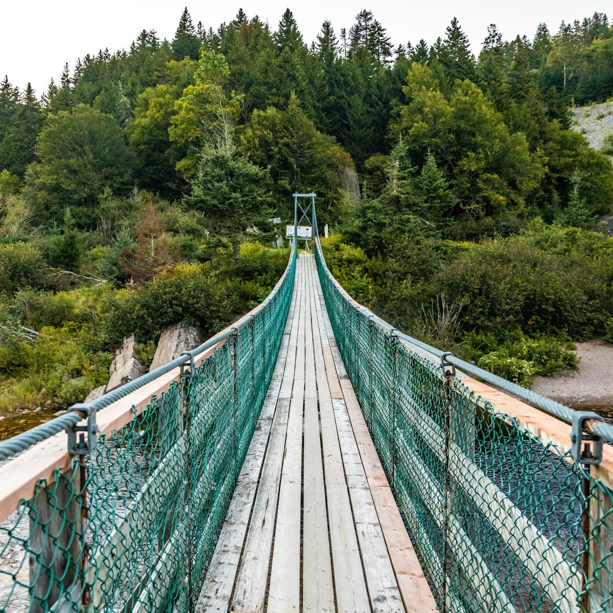 Big Salmon River Suspension Bridge view in Fundy national park Canada; Shutterstock ID 2205277983; full: 65050; gl: 65050; netsuite: poi; your: Barbara Di Castro
2205277983