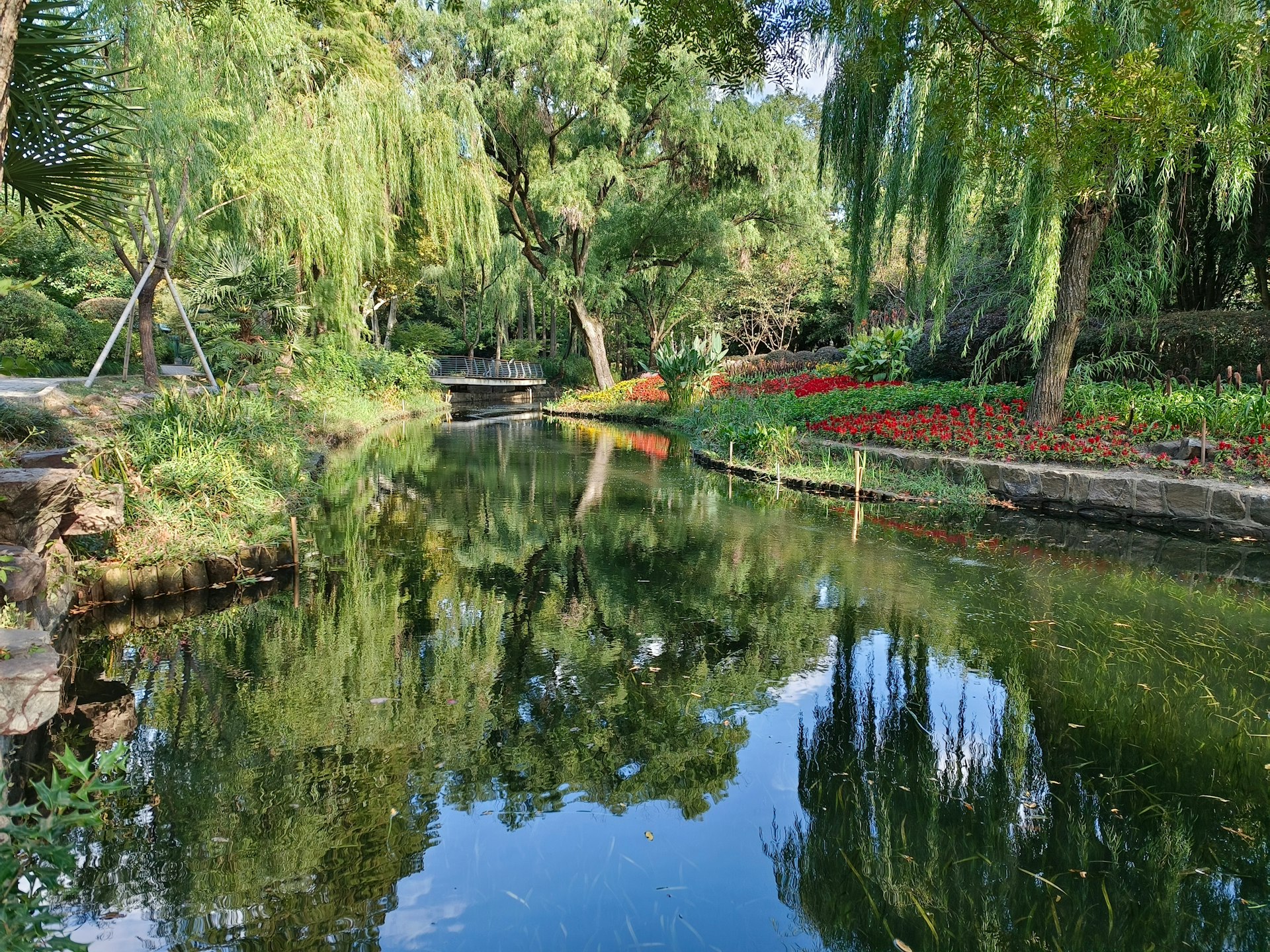 A peaceful, reflective pond situated in China's well-manicured Anji Bamboo Sea garden. The calm water creates mirror-like reflections of the surrounding weeping willows and varied greenery. A bed of bright red flowers adds a pop of color along the pond's edge, enhancing the tranquil and natural beauty of the scene.