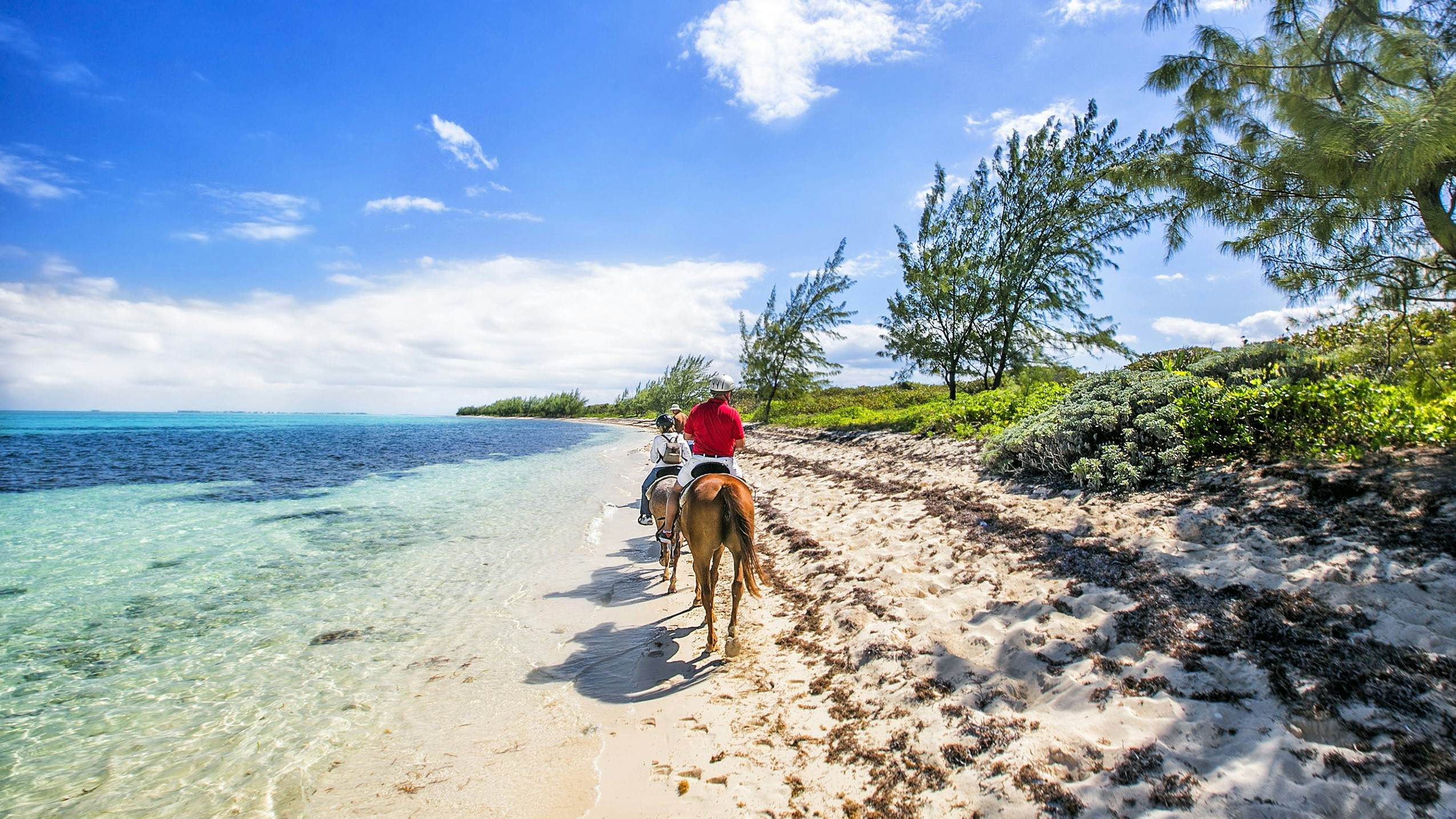 17 of the best things to do in Grand Cayman - Lonely Planet