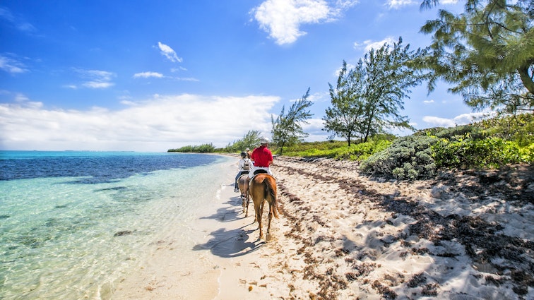342932357
adventure, animals, attraction, bank, bar, beach, caribbean, cavalry, cayman, clouds, coast, courser, equine, equitation, grand, group, hackney, holidays, horse, island, land, nature, offing, people, picturesque, riding, sand, sandbank, sea, seaboard, seashore, seaside, shallow, shelf, shore, sky, steed, tourism, tourists, travel, tropical, vacation
