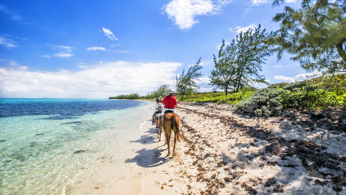 342932357
adventure, animals, attraction, bank, bar, beach, caribbean, cavalry, cayman, clouds, coast, courser, equine, equitation, grand, group, hackney, holidays, horse, island, land, nature, offing, people, picturesque, riding, sand, sandbank, sea, seaboard, seashore, seaside, shallow, shelf, shore, sky, steed, tourism, tourists, travel, tropical, vacation