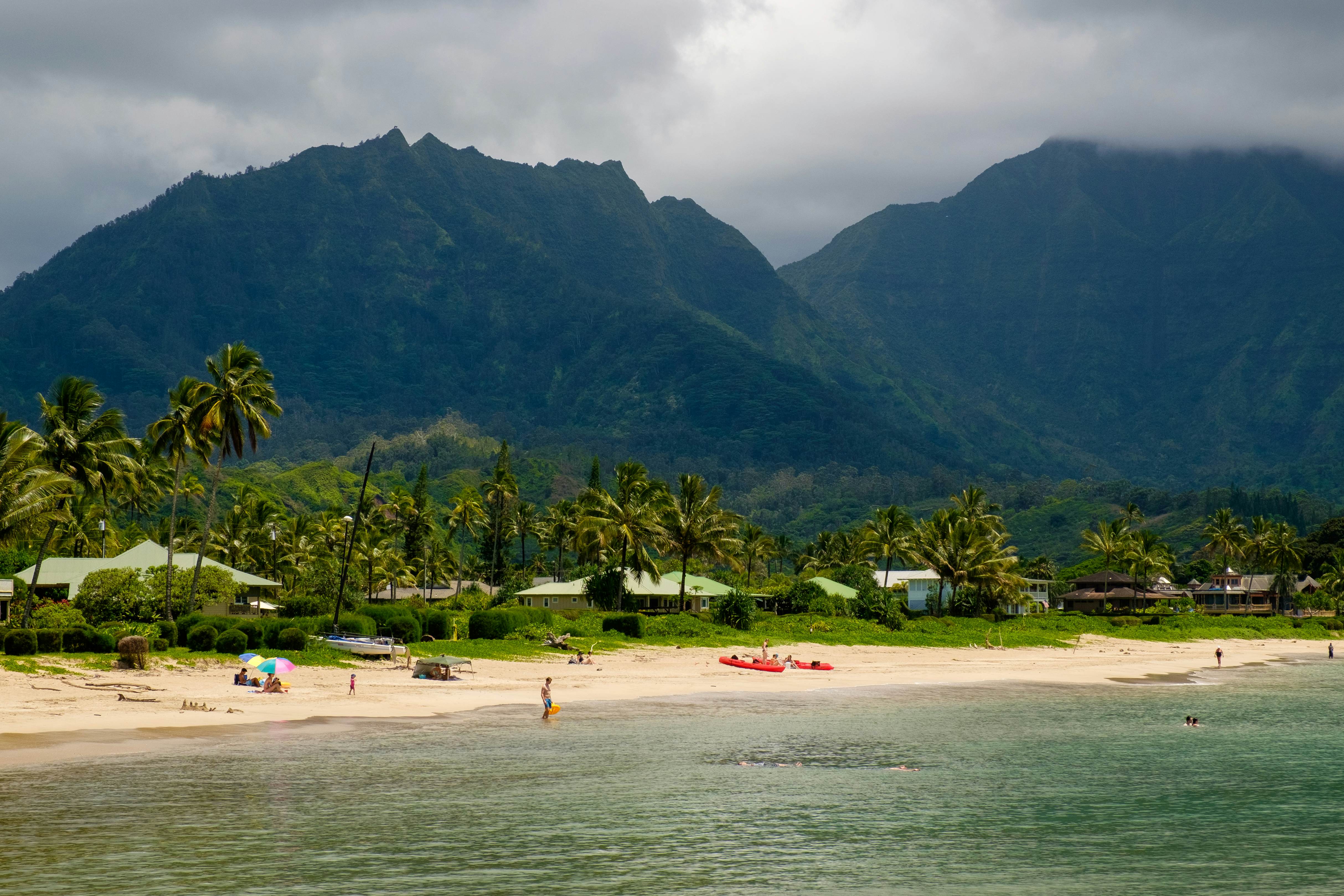 Palm trees and lush forest backs the white-sand beach of Hanalei Bay in Kaua‘i, Hawaii, USA