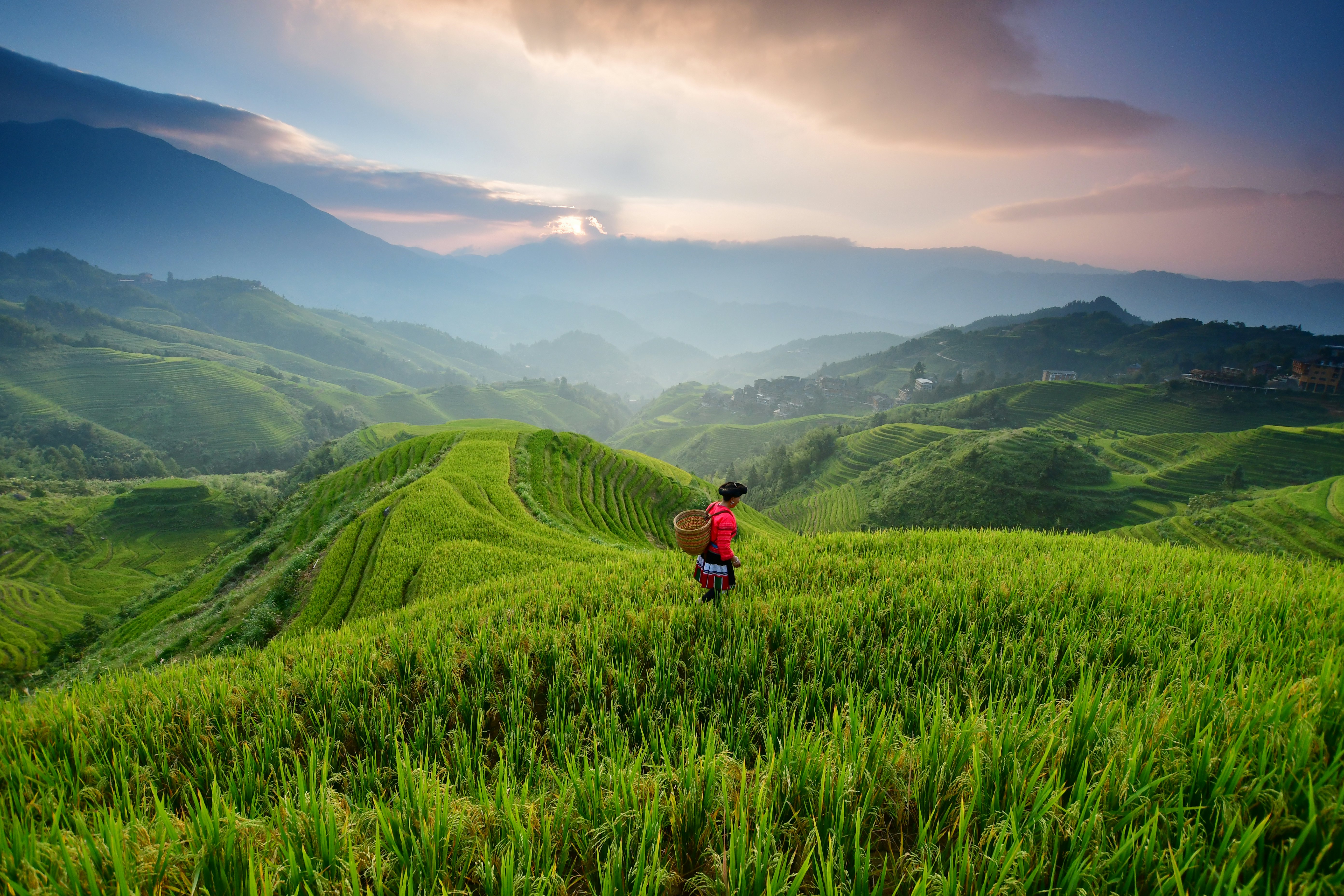 A woman in traditional dress walks through the terraced rice paddies of Longji, China