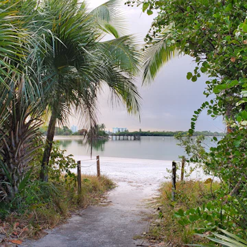 Beach entrance at Oleta River State Park in North Miami Beach, FL
1626556522
beach, beach scene, beautiful, biscayne bay, day, florida, green, landscape, miami beach, nature, outdoor, park, scenery, scenic, state park, tourism, travel, tree, trees, water