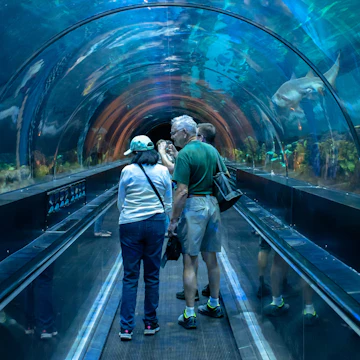 Orlando, Florida. November 06, 2019. People enjoying Shark encounter tunnel at Seaworld 1; Shutterstock ID 1558738823; full: 65050; gl: Online editorial; netsuite: POI updates; your: Ann Douglas Lott
1558738823