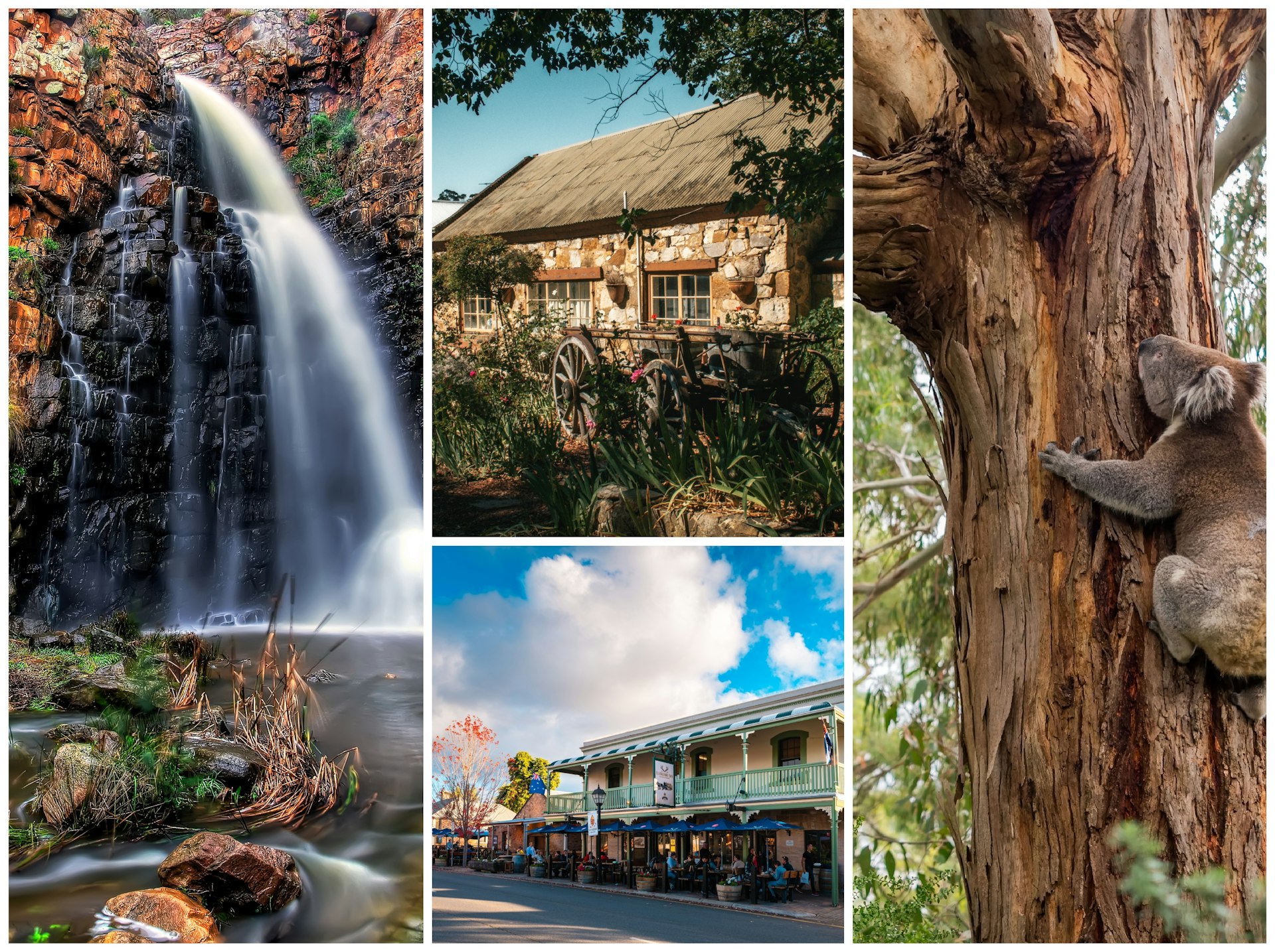 Shots of a waterfall, trees with autumn leaves, a traditional Australian pub and a koala climbing a tree