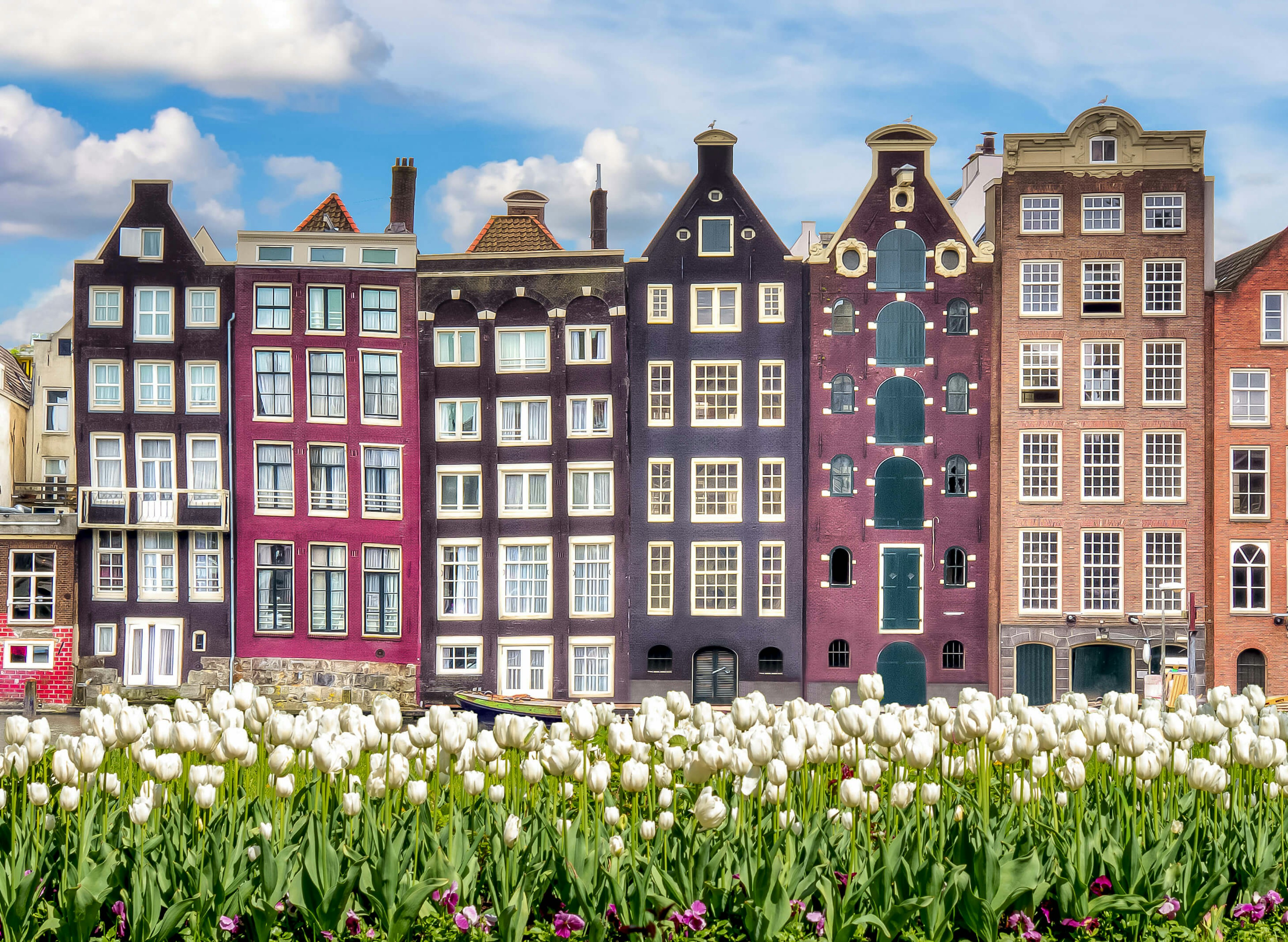 Amsterdam architecture with rows of tulips in the foreground