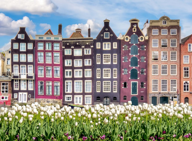 Amsterdam architecture with rows of tulips in the foreground