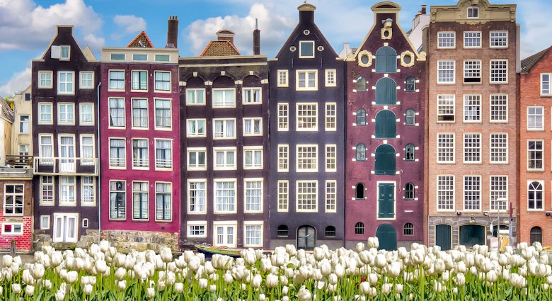 Amsterdam architecture over the tulips.