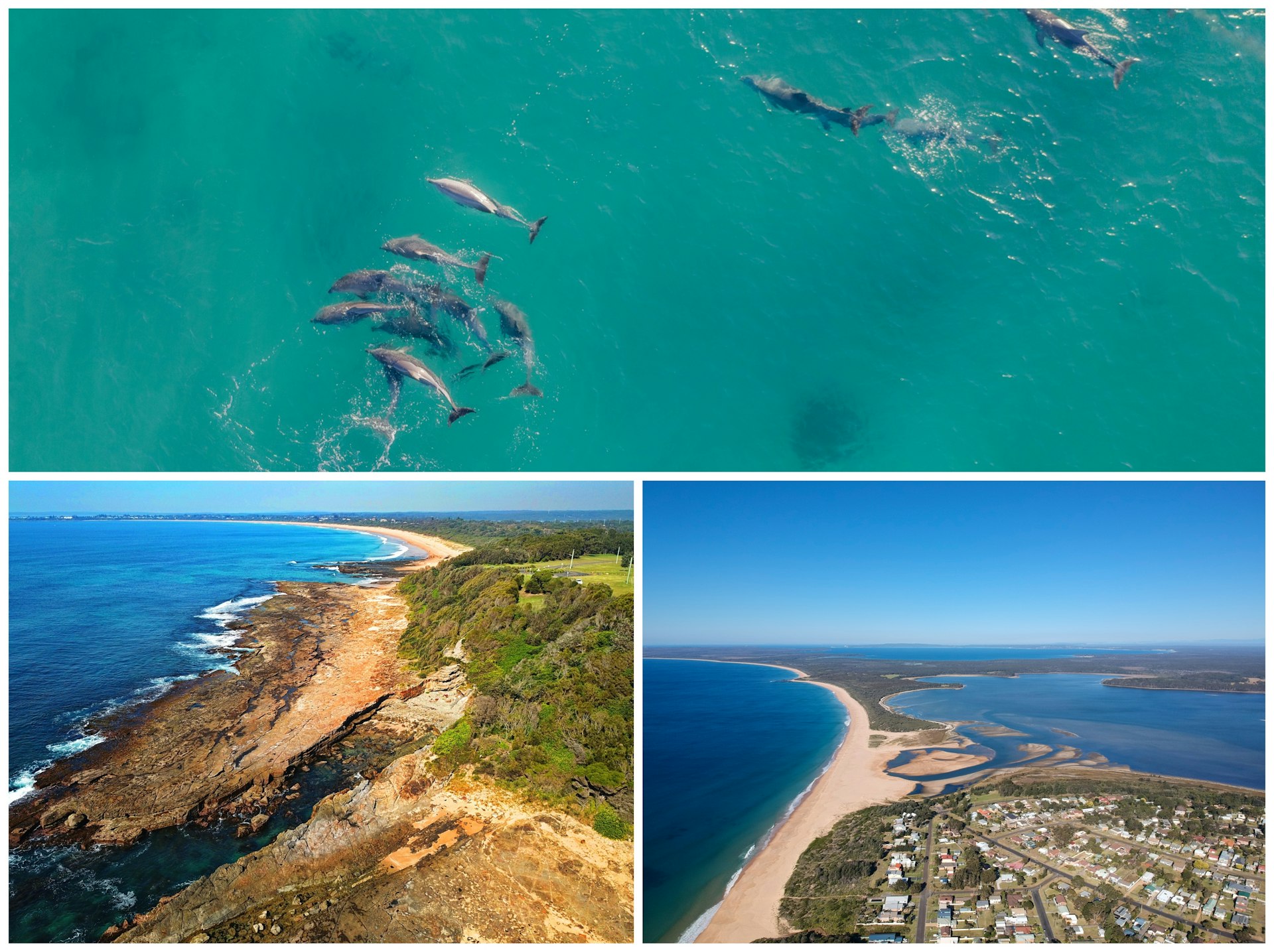 Aerial shots of dolphins in the water and the seaside town of Culburra