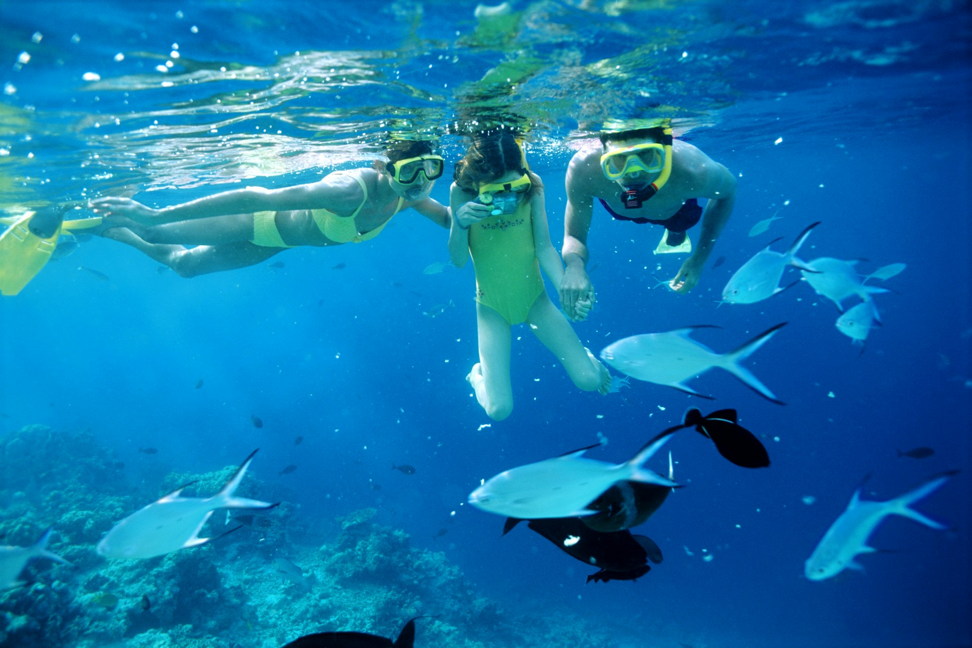 Kids snorkel with their family amongst schools of fish in the Maldives