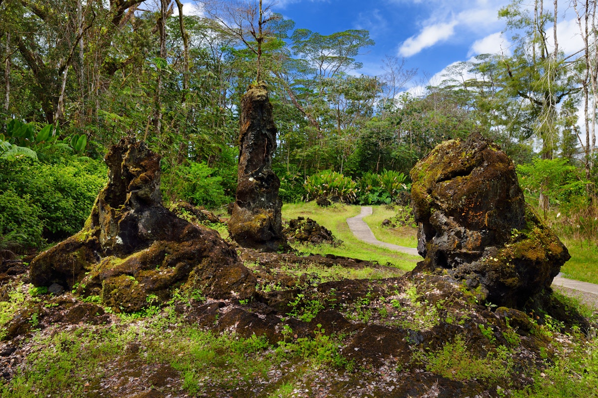 Lava molds of the tree trunks that were formed when a lava flow swept through a forested area in Lava Tree State Monument on the Big Island of Hawaii, USA
1034528940
state
