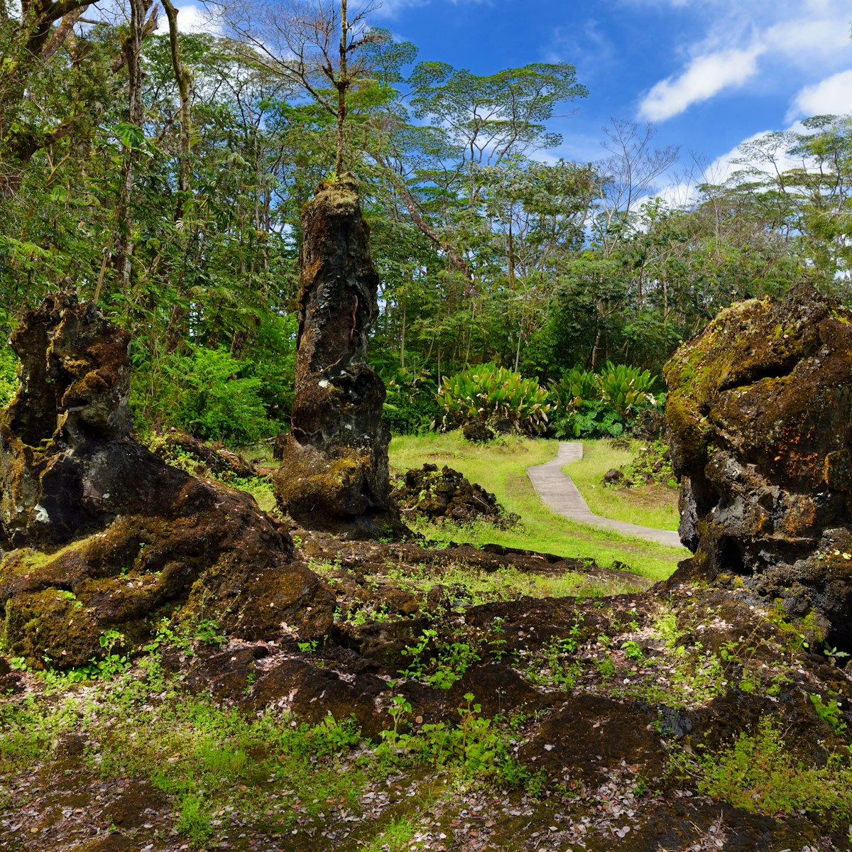 Lava molds of the tree trunks that were formed when a lava flow swept through a forested area in Lava Tree State Monument on the Big Island of Hawaii, USA
1034528940
state
