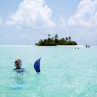 Young boy snorkeling and having fun in shallow water on small island beach in April, Maldives. In background there are some people in water and he is surrounded with turquoise water while horizon and small island are far back. It is tropical paradise island not far from Maafushi island and is visited from Maafushi Island on day tour, Maldives.
1041746754
maafushi, kaafu atoll