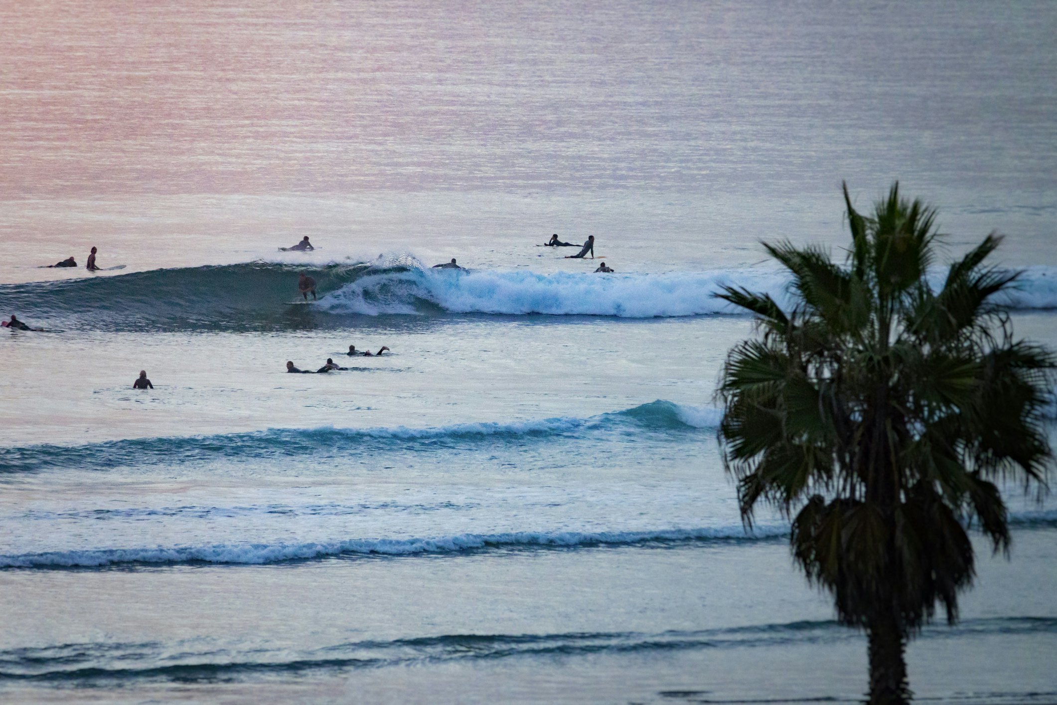 Surfers at Cardiff State Beach in Cardiff by the Sea, San Diego, California, USA.
1083806462