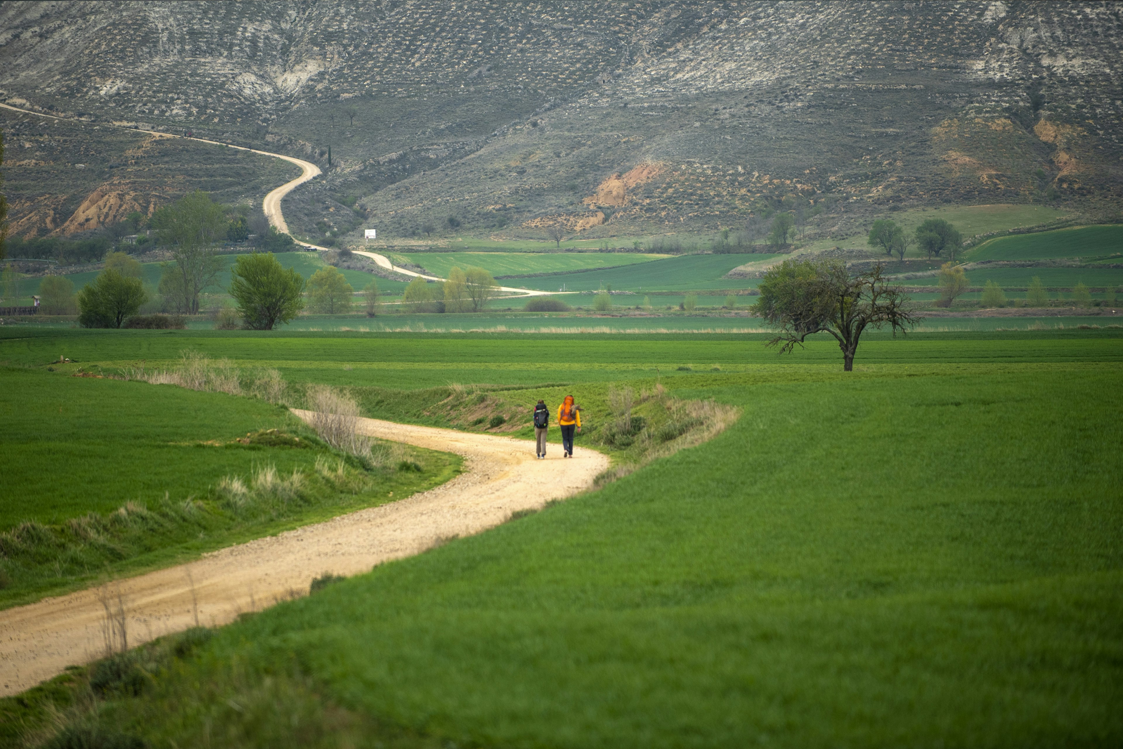 Two walkers follow a dirt path in a green hilly area