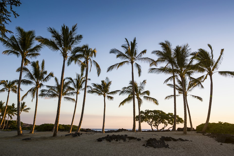 USA, Hawaii, Big Island, palm grove at sunset at the beach of Kikaua Point Park
1157181392
beach park, dream island, evening, evening mood, evening sun, hawaii, kikaua point park, palm, palm grove, tropical, wanderlust